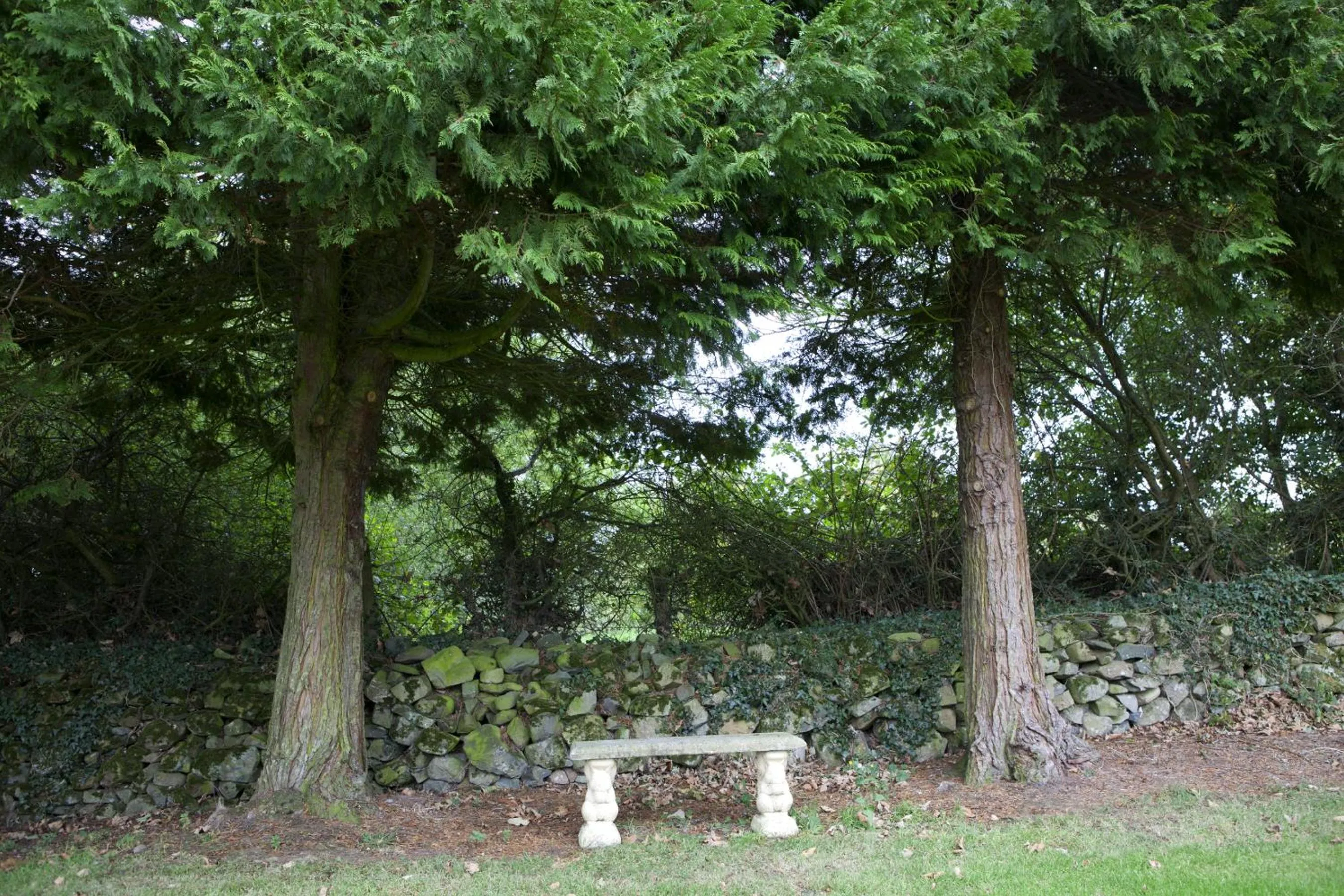 Garden in St Kyrans Guest House