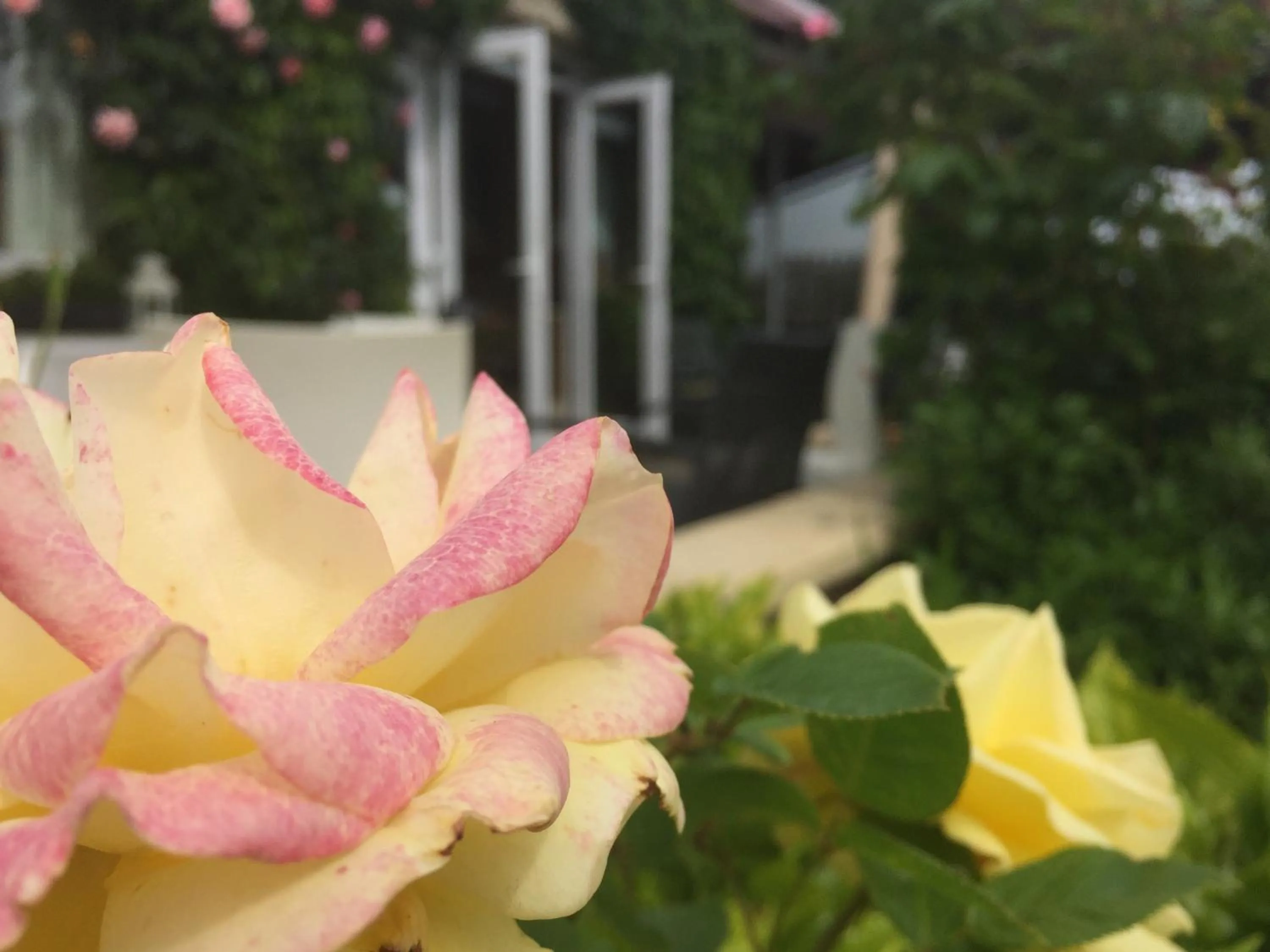 Balcony/Terrace in St Kyrans Guest House