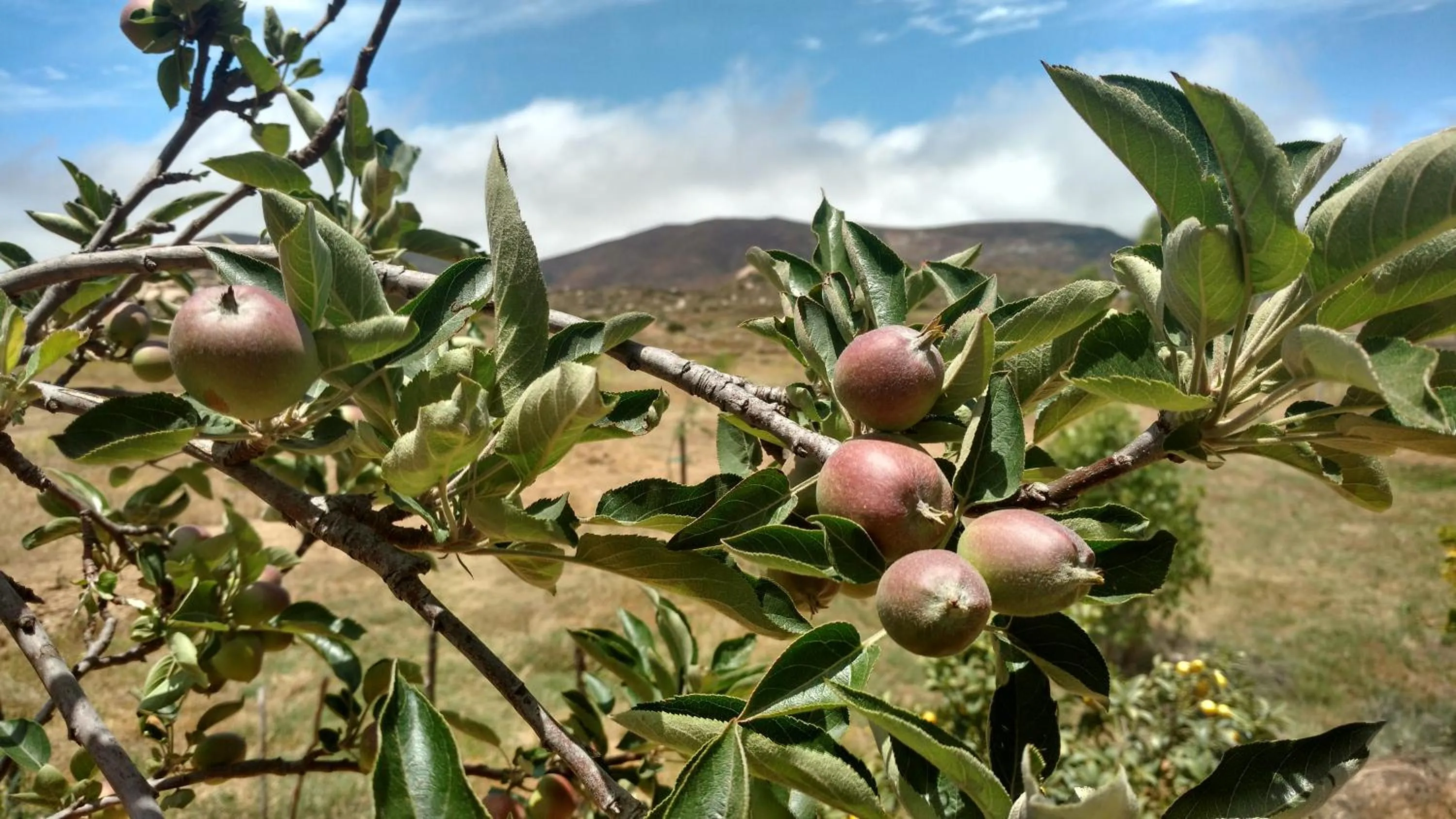Property building in Vinofilia Wine Country Inn