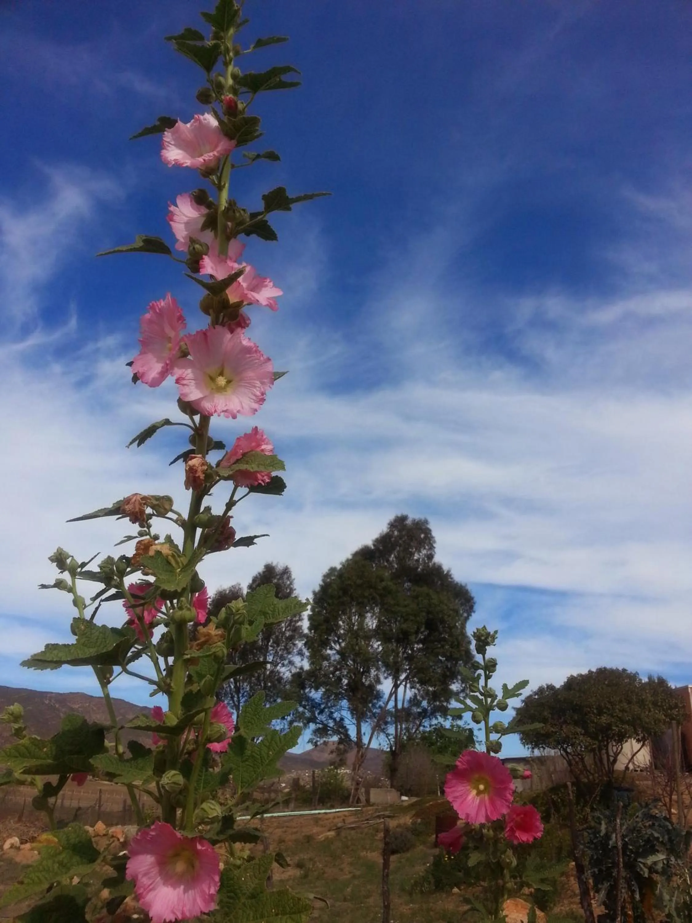 Vinofilia Wine Country Inn