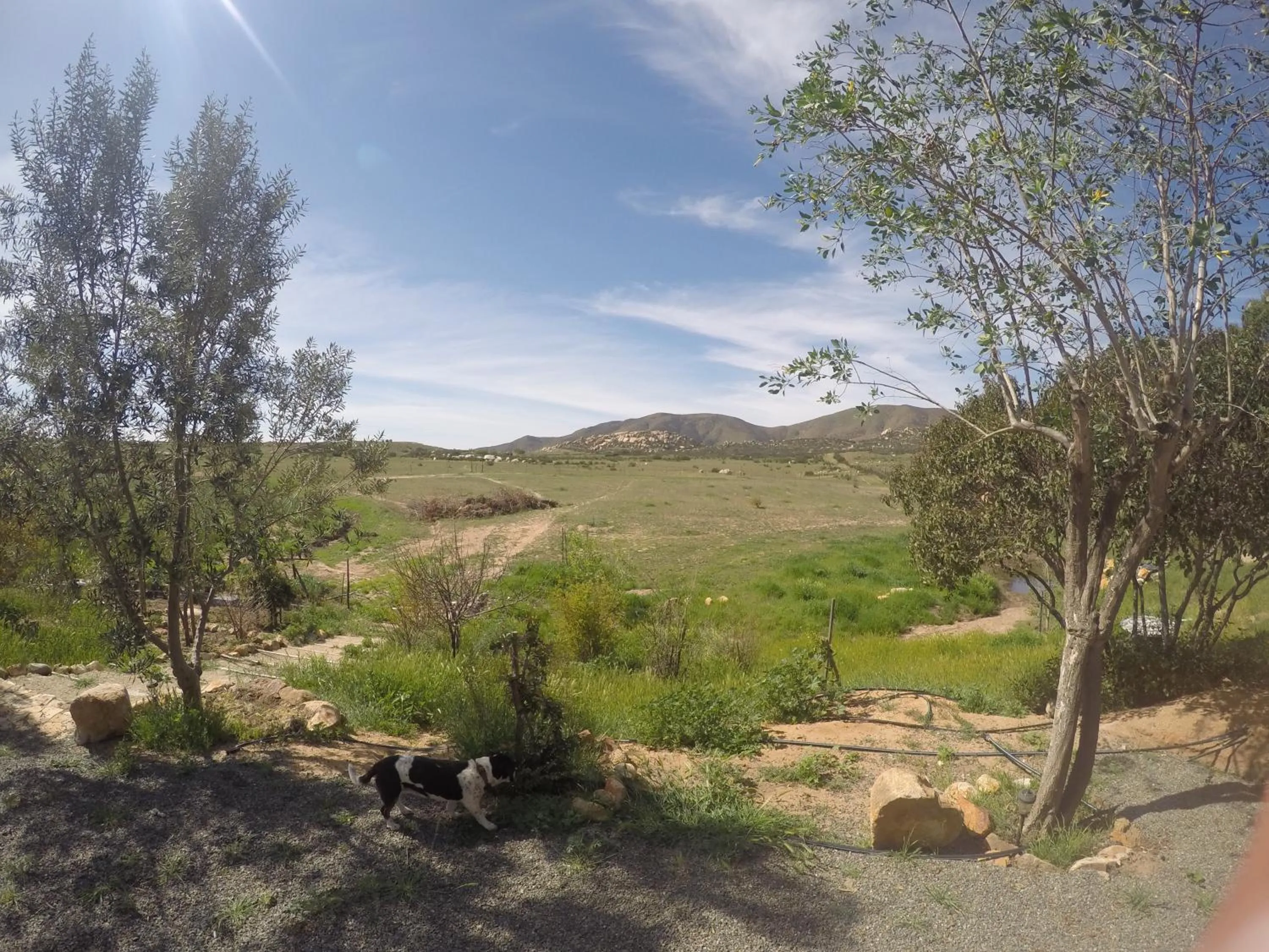 Vinofilia Wine Country Inn