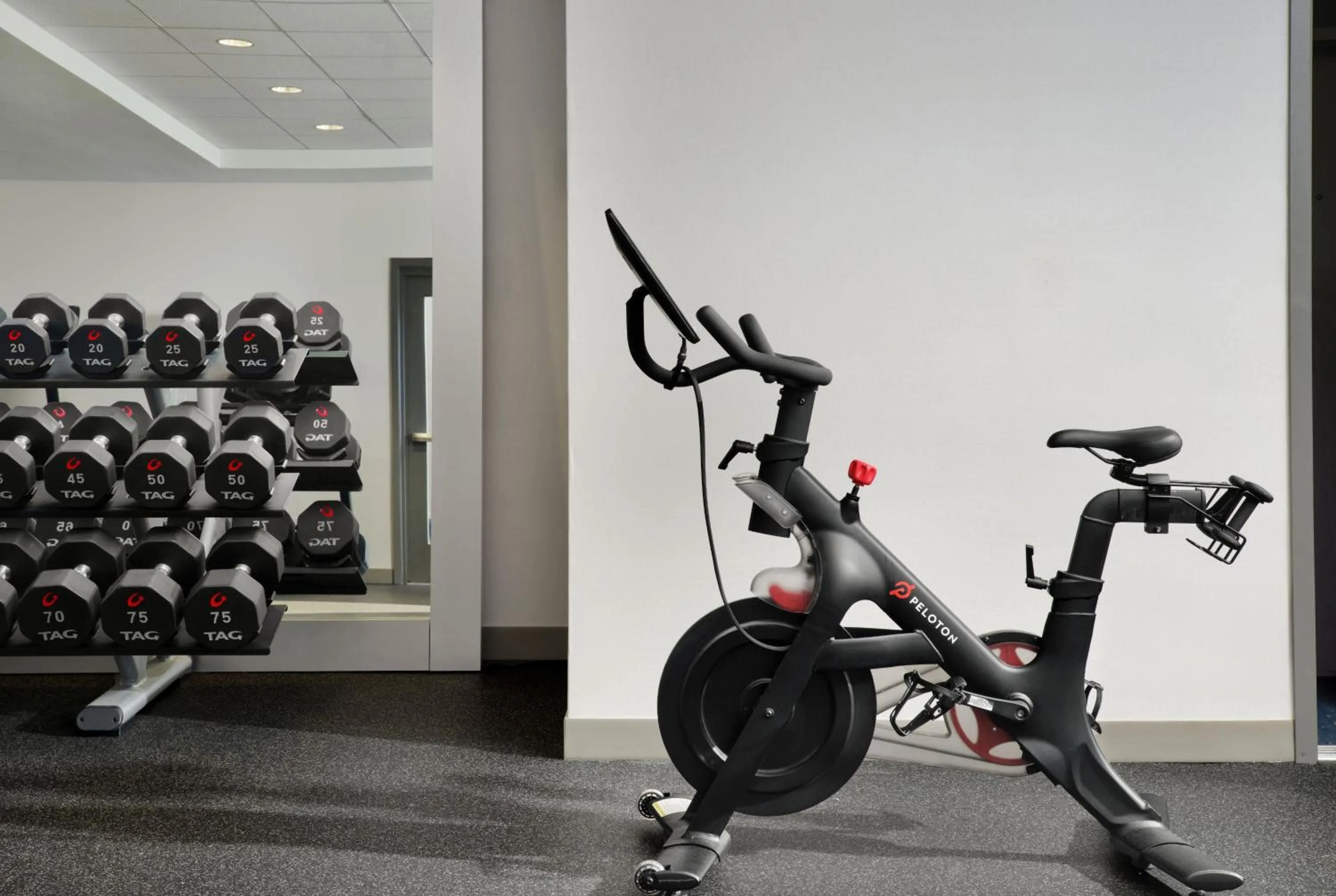 Fitness centre/facilities in Hilton Garden Inn San Jose/Milpitas