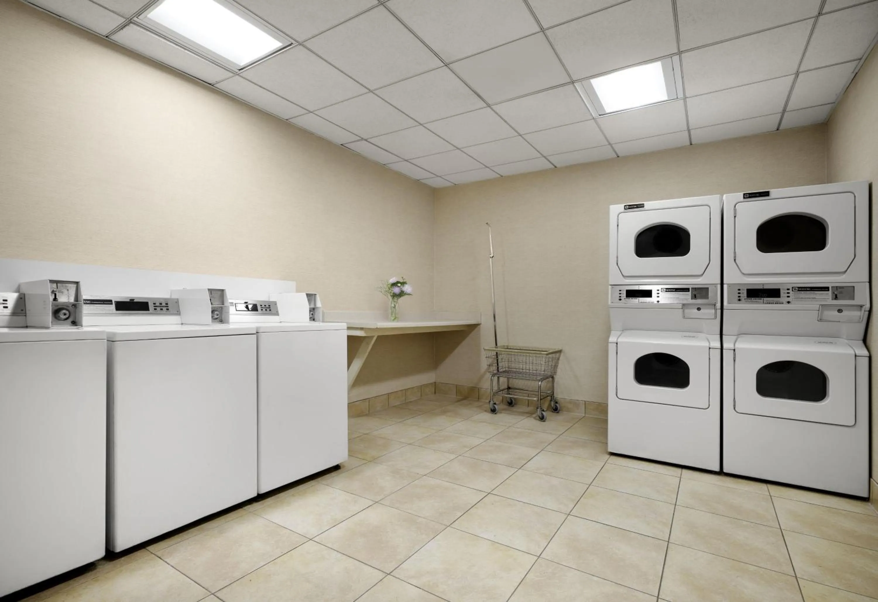 Lobby or reception in Hilton Garden Inn San Jose/Milpitas