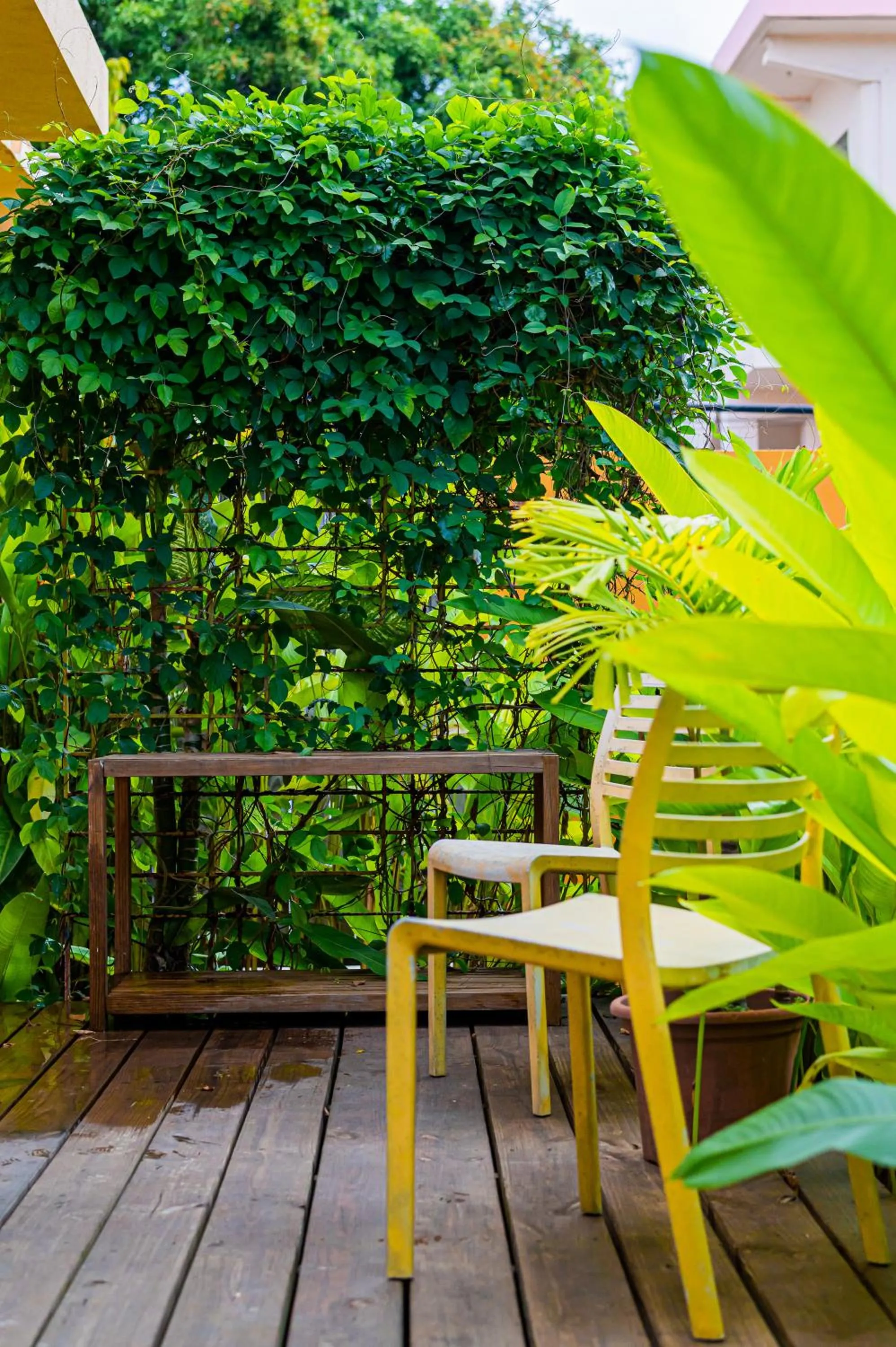 Balcony/Terrace in Casa de Amistad Guesthouse
