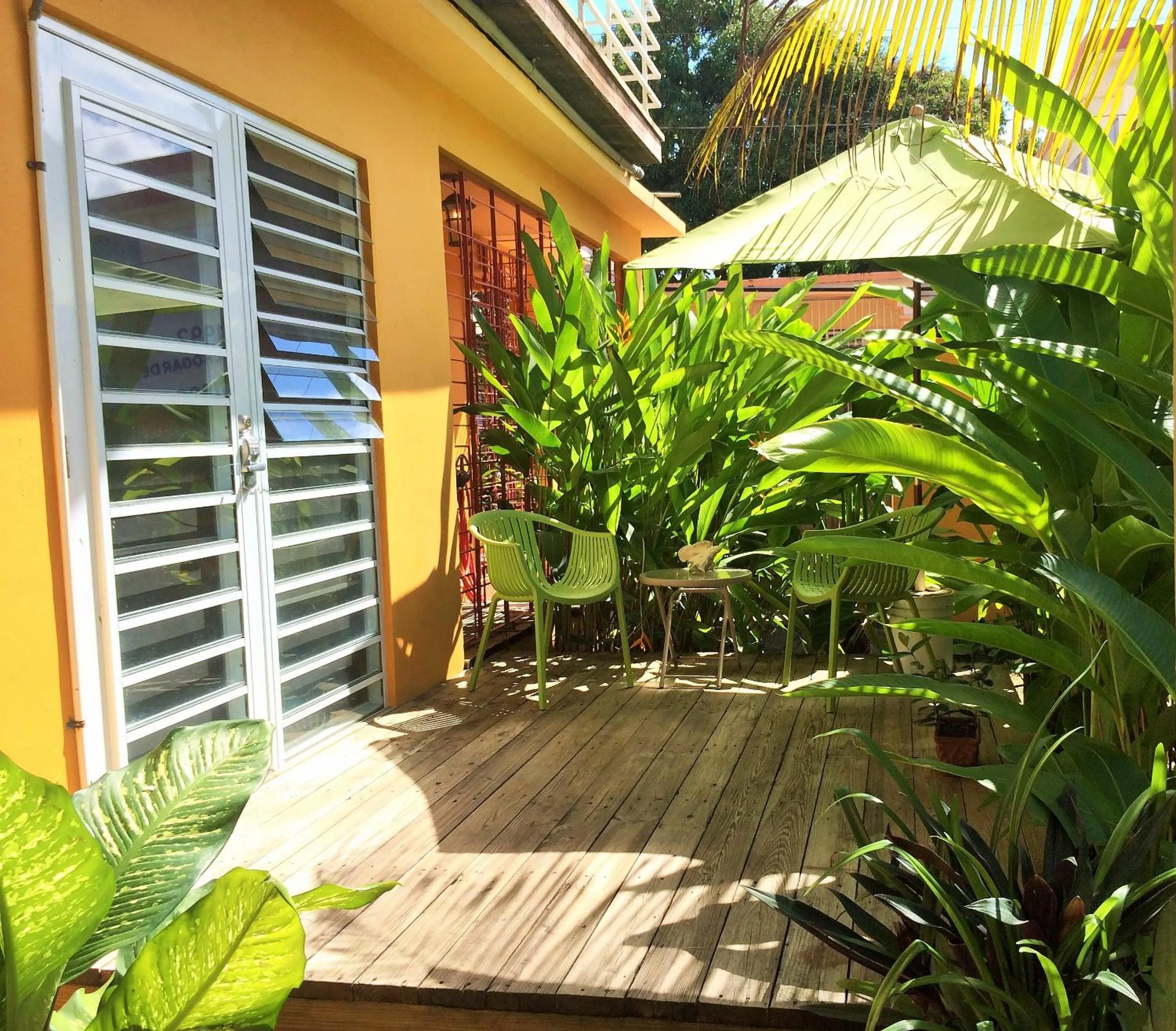 Patio in Casa de Amistad Guesthouse