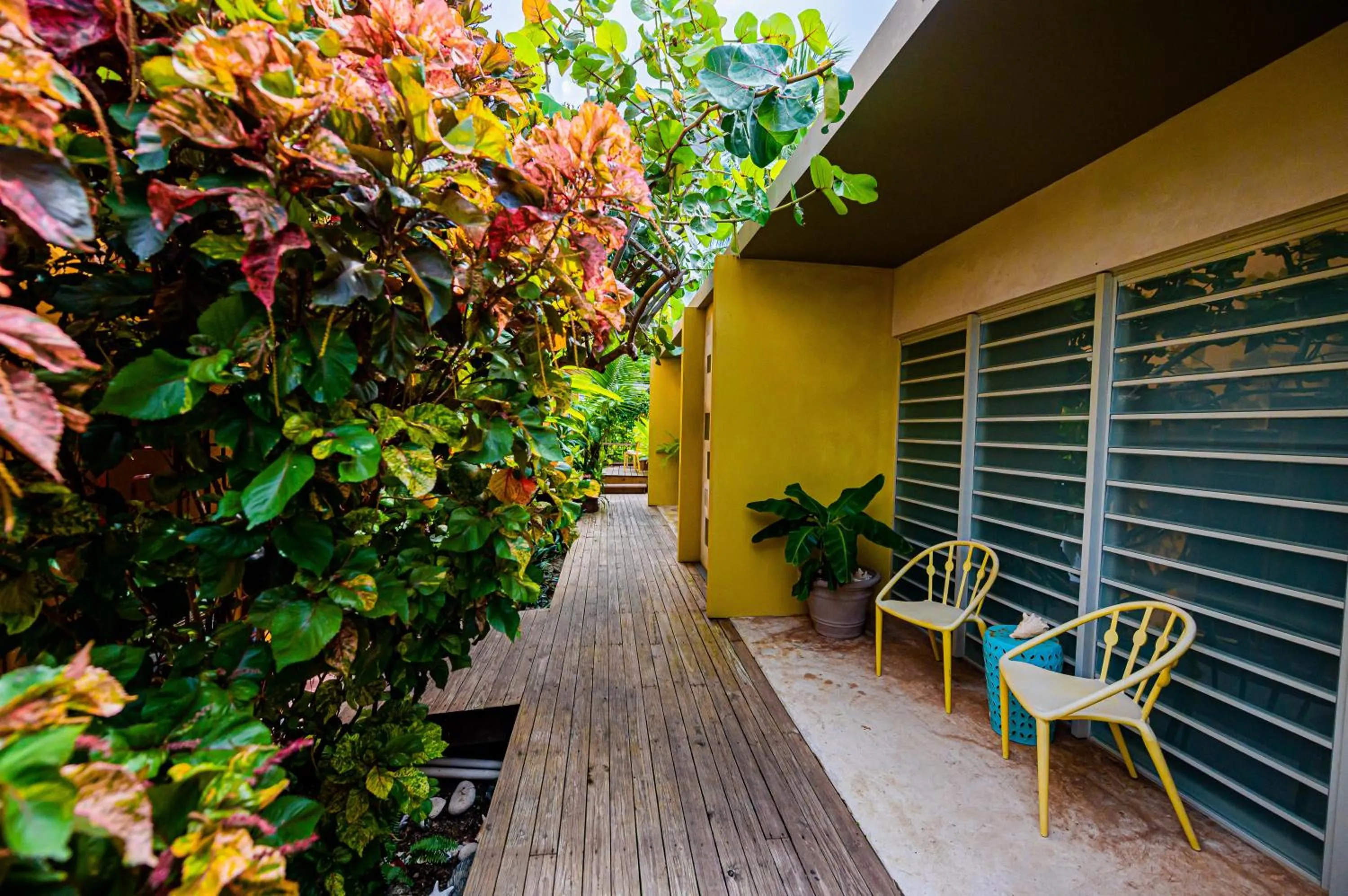Patio in Casa de Amistad Guesthouse