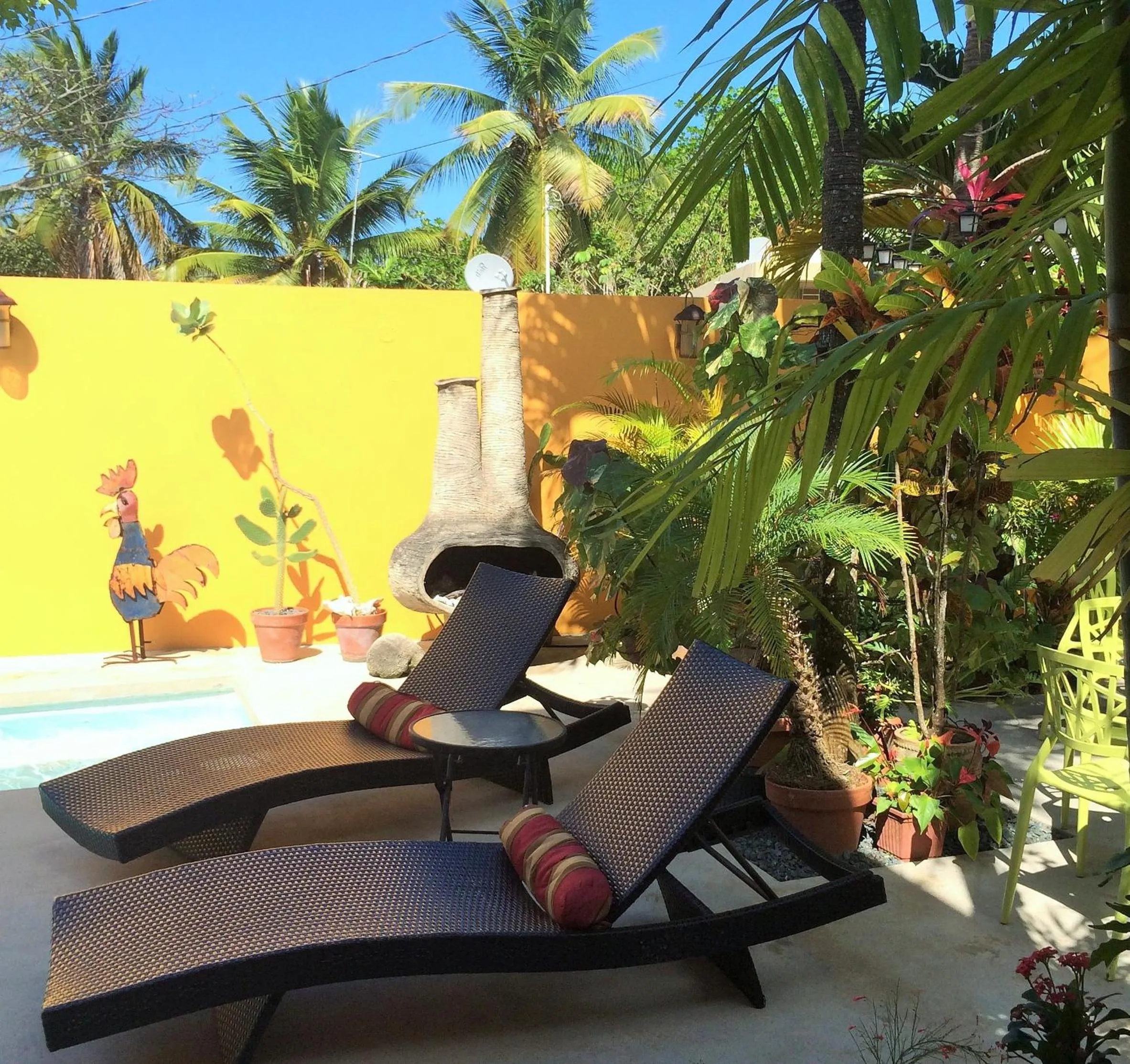 Pool view in Casa de Amistad Guesthouse