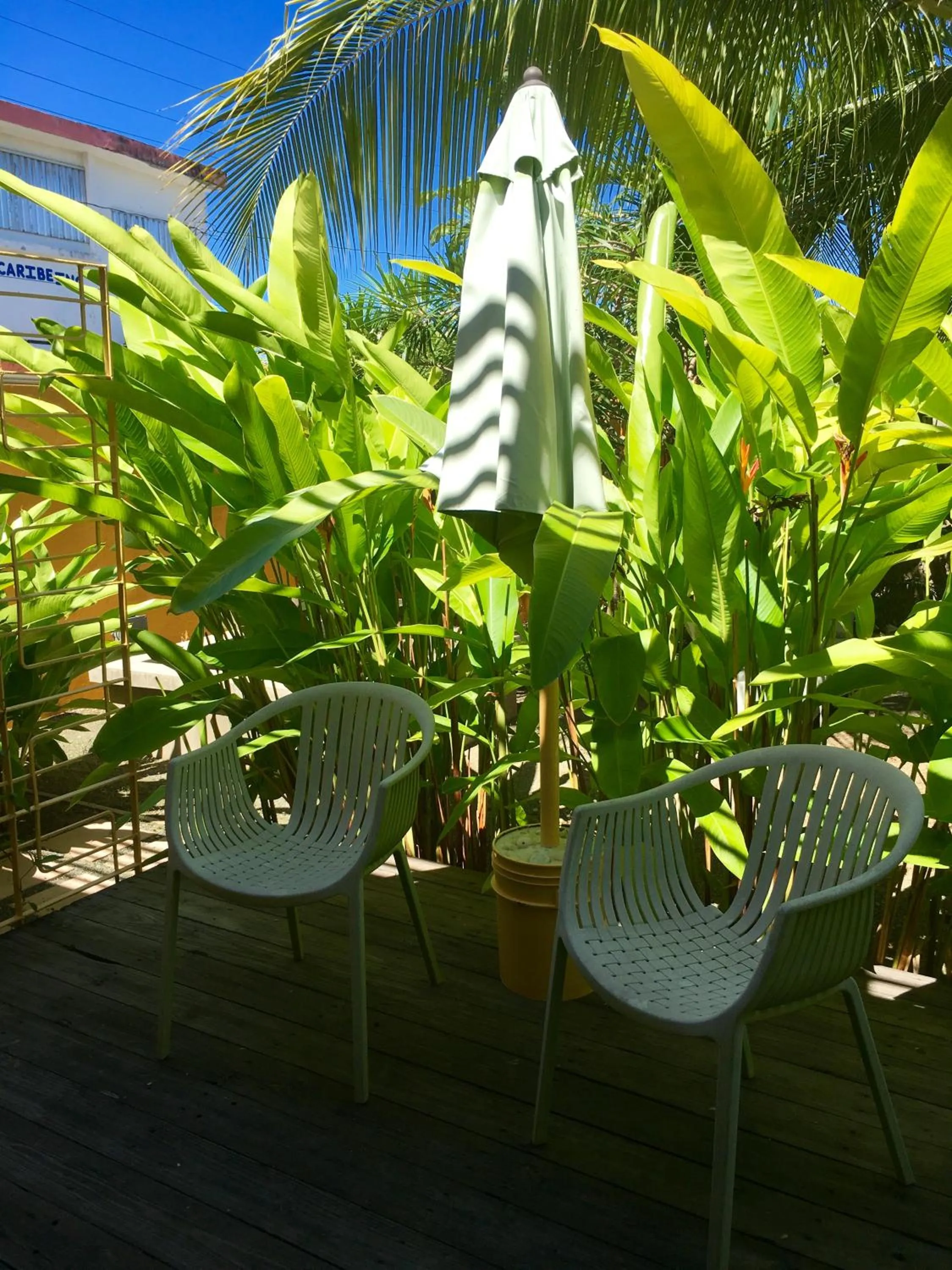 Patio in Casa de Amistad Guesthouse