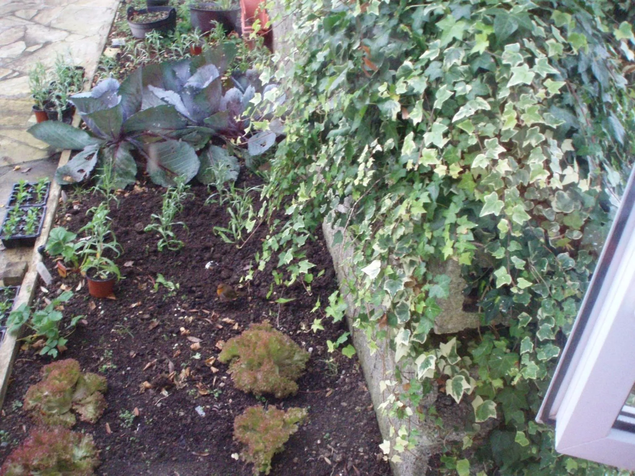 Rosdarrig Bed & Breakfast