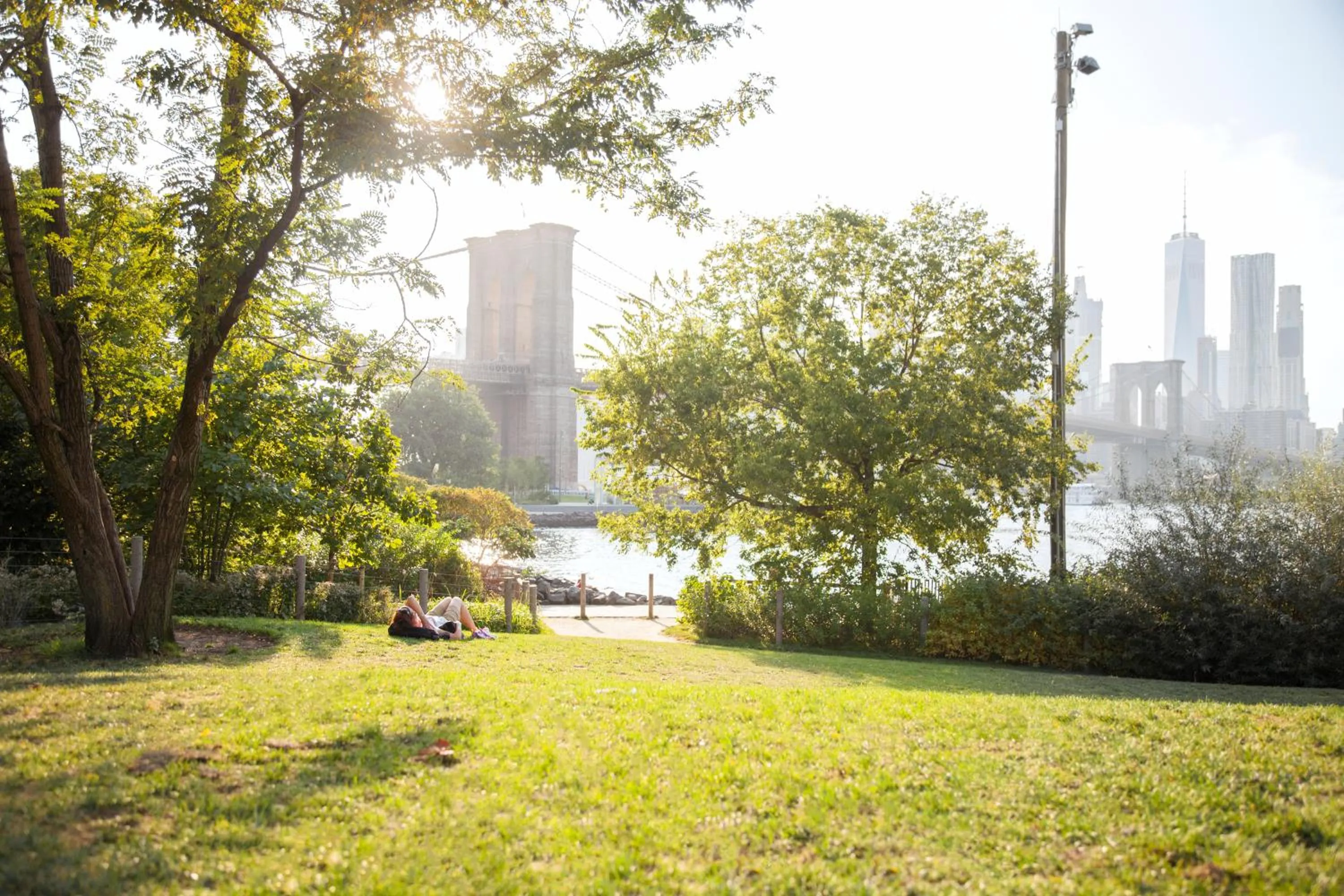 Other in 1 Hotel Brooklyn Bridge