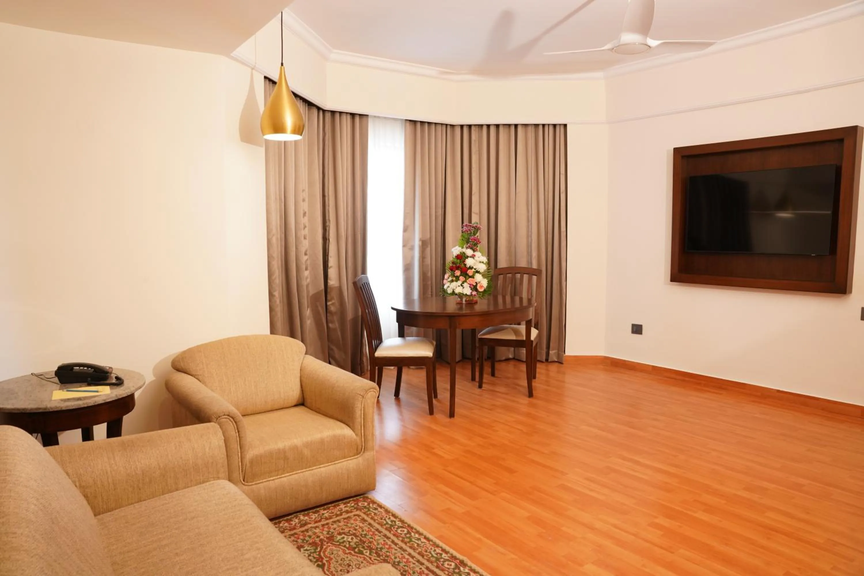 TV and multimedia in Katriya Hotel and Tower