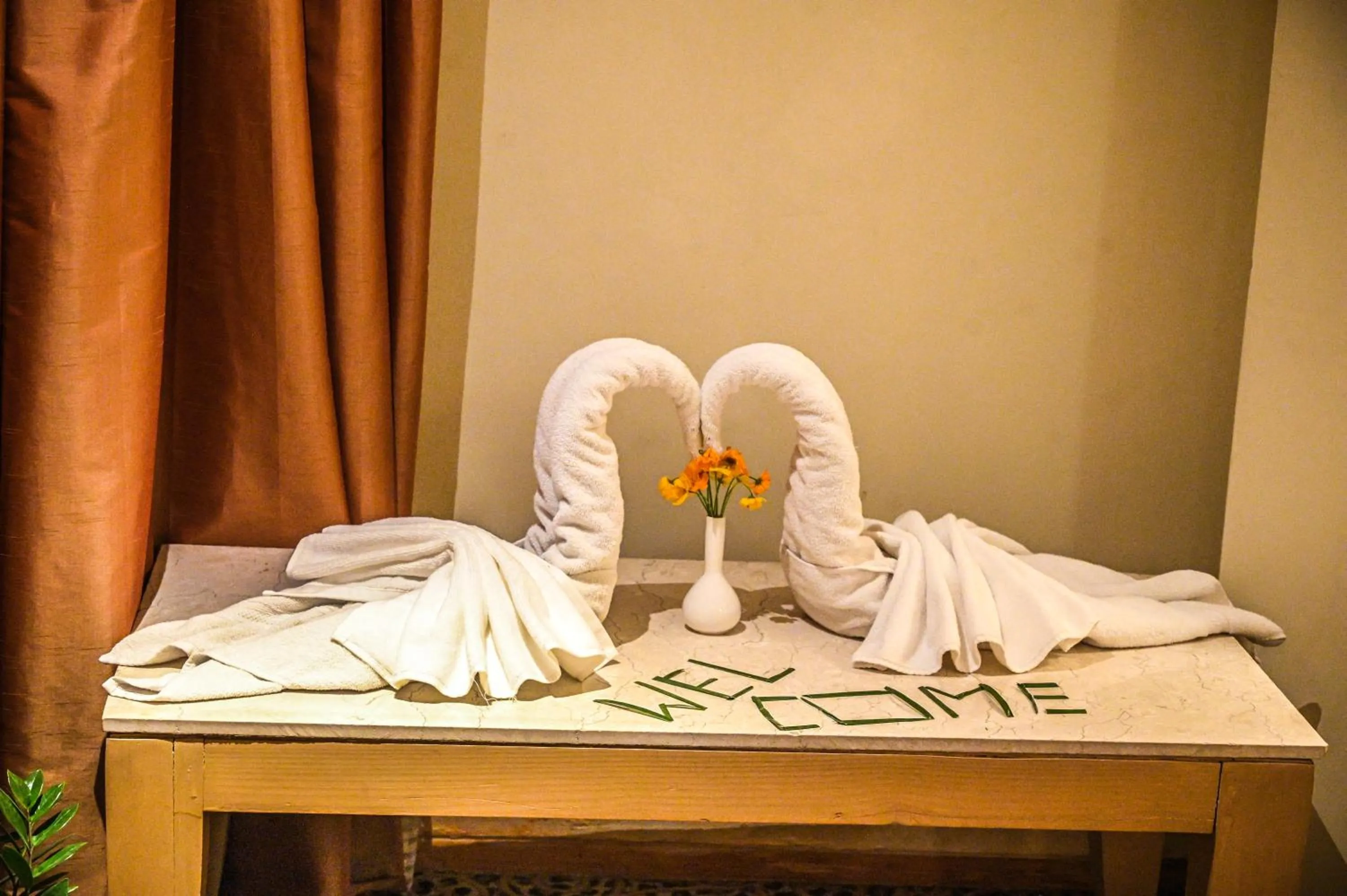 towels in Katriya Hotel and Tower