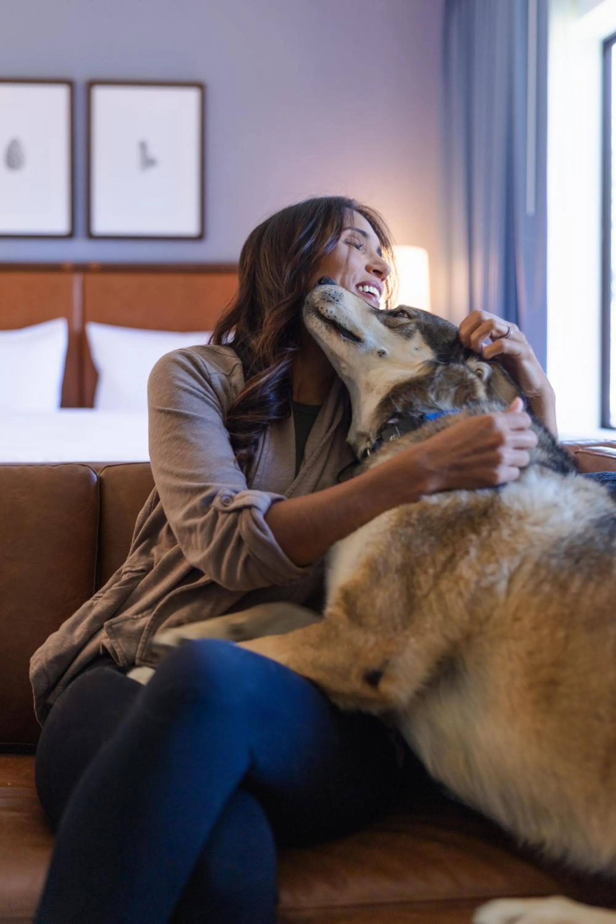 Pets in Martis Valley Lodge, Tapestry Collection by Hilton