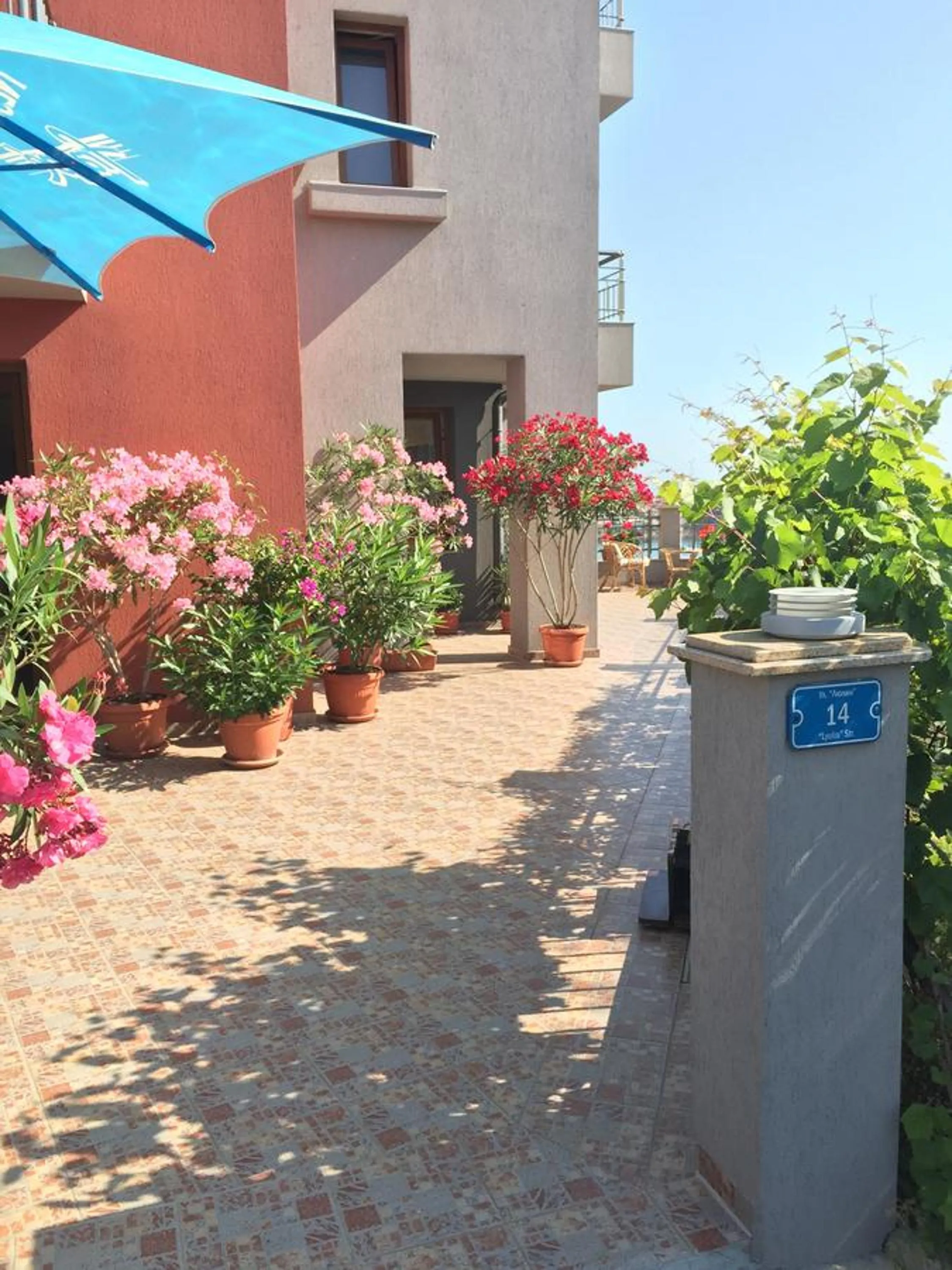 Facade/entrance in Family Hotel Radiana