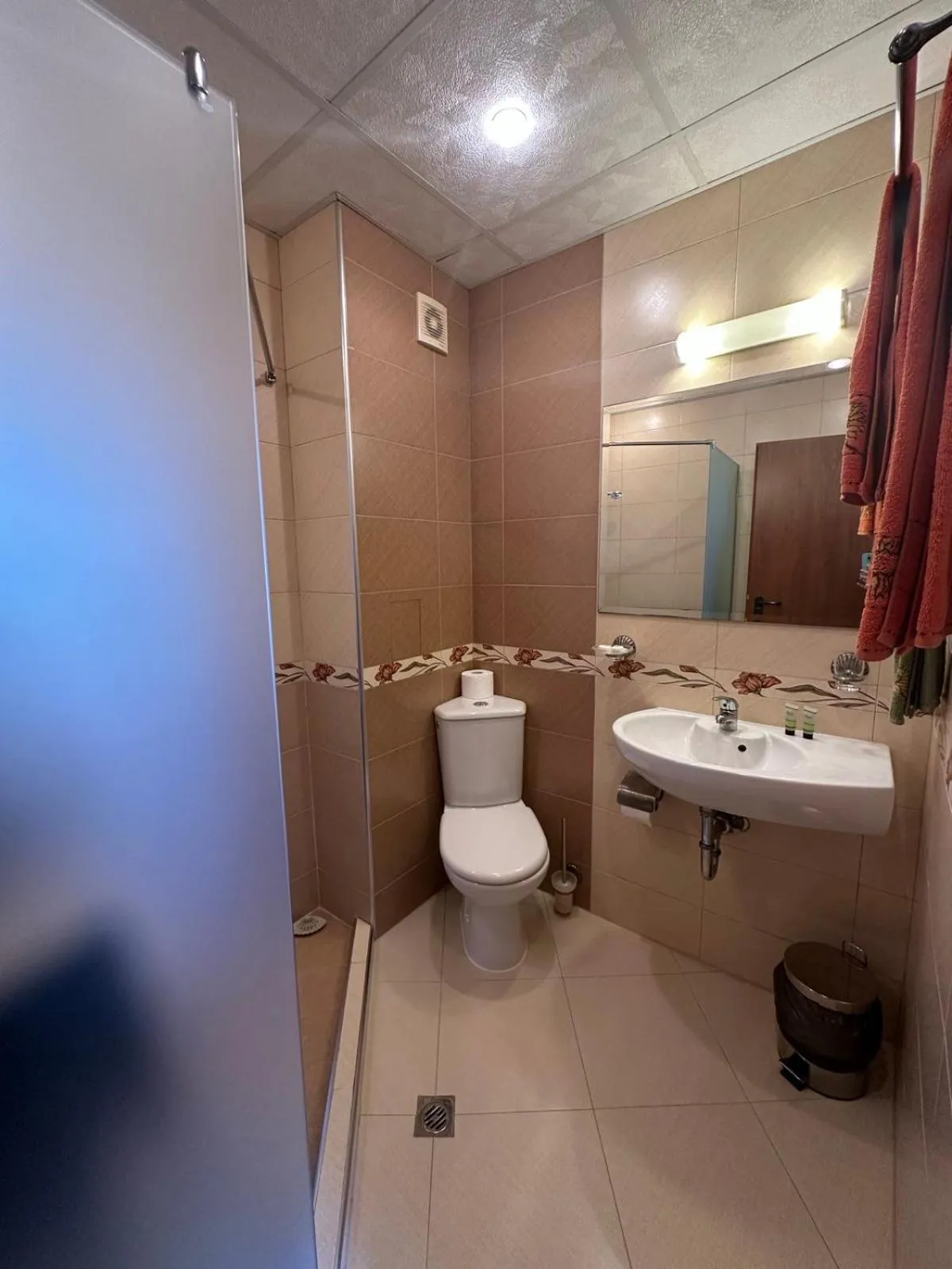 Bathroom in Family Hotel Radiana