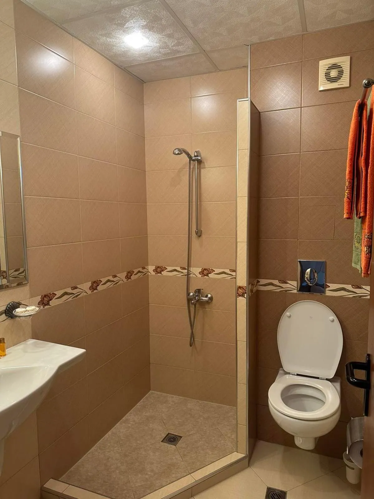 Bathroom in Family Hotel Radiana