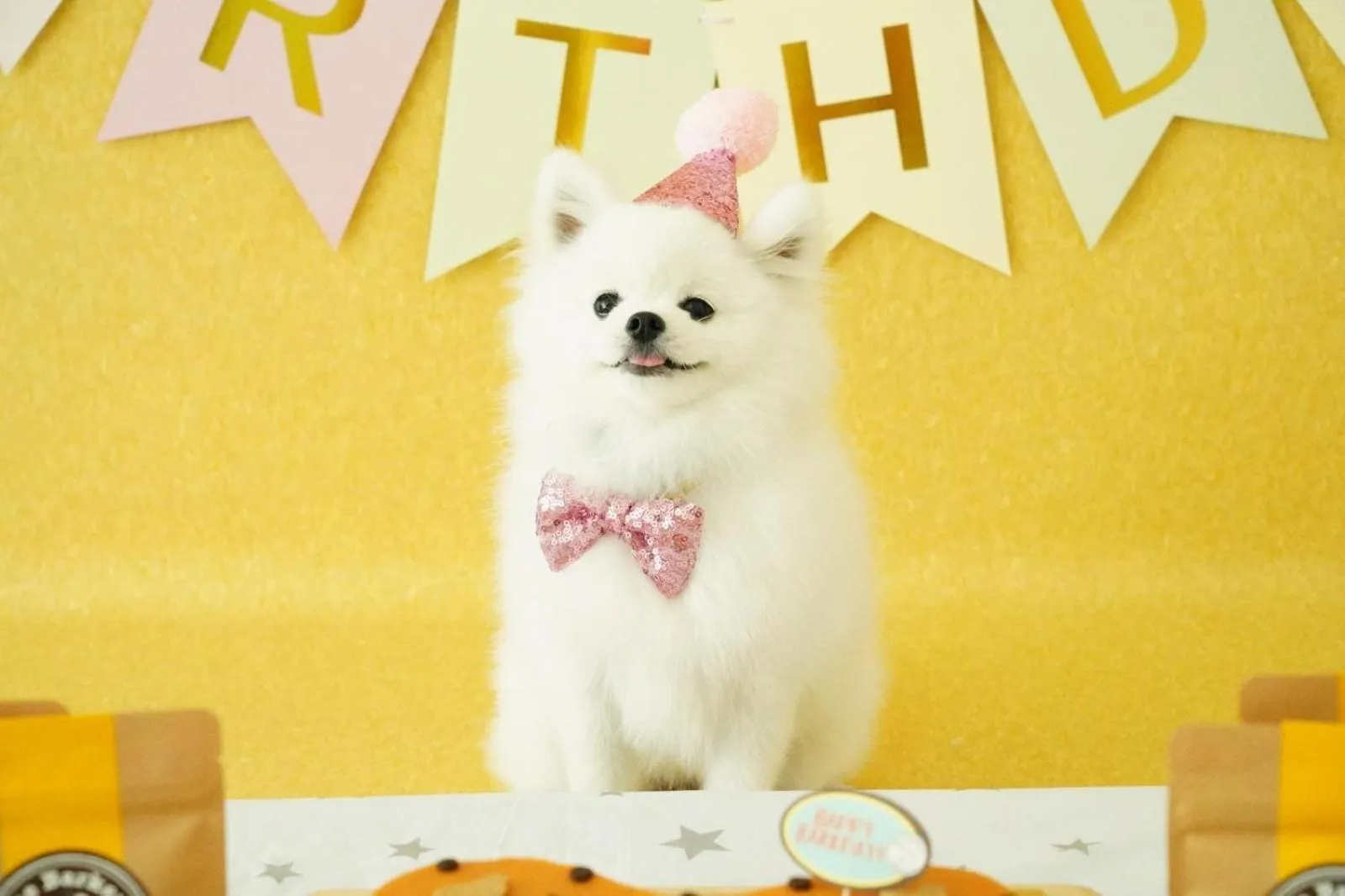 Pets in Citadines Connect Fifth Avenue New York