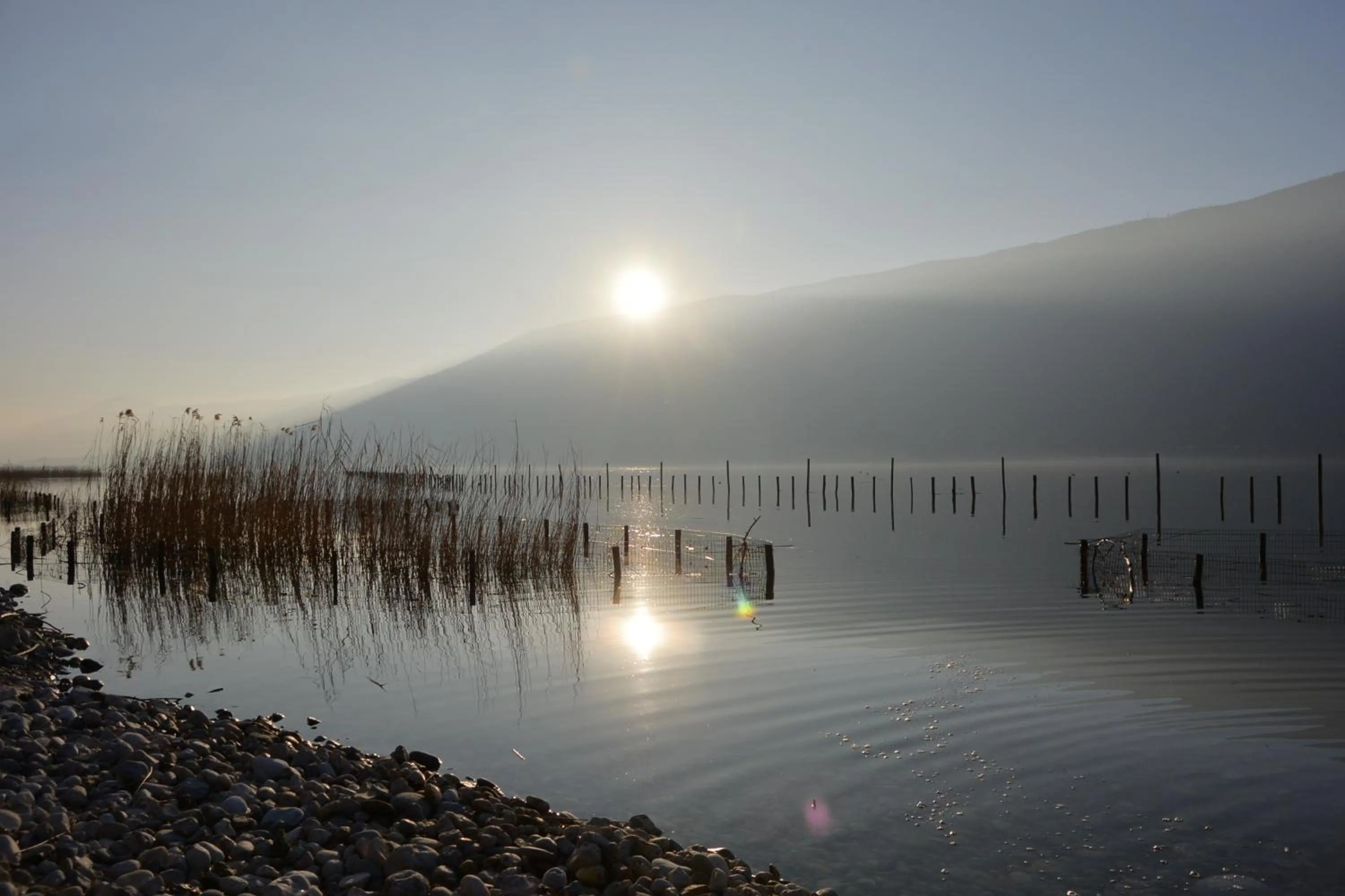 Beach in Hotel De La Gare
