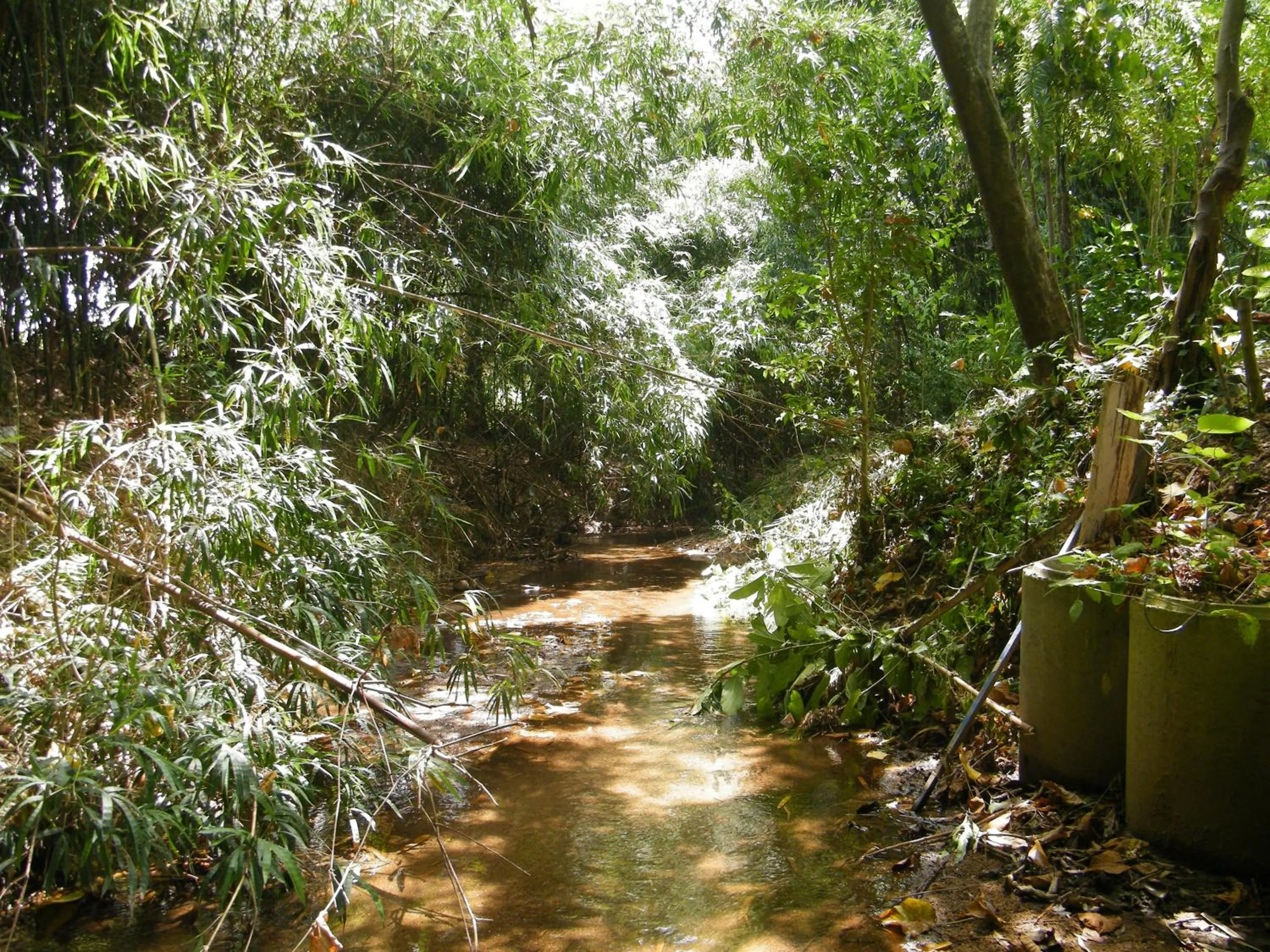 Natural landscape in Ya Teng Homestay