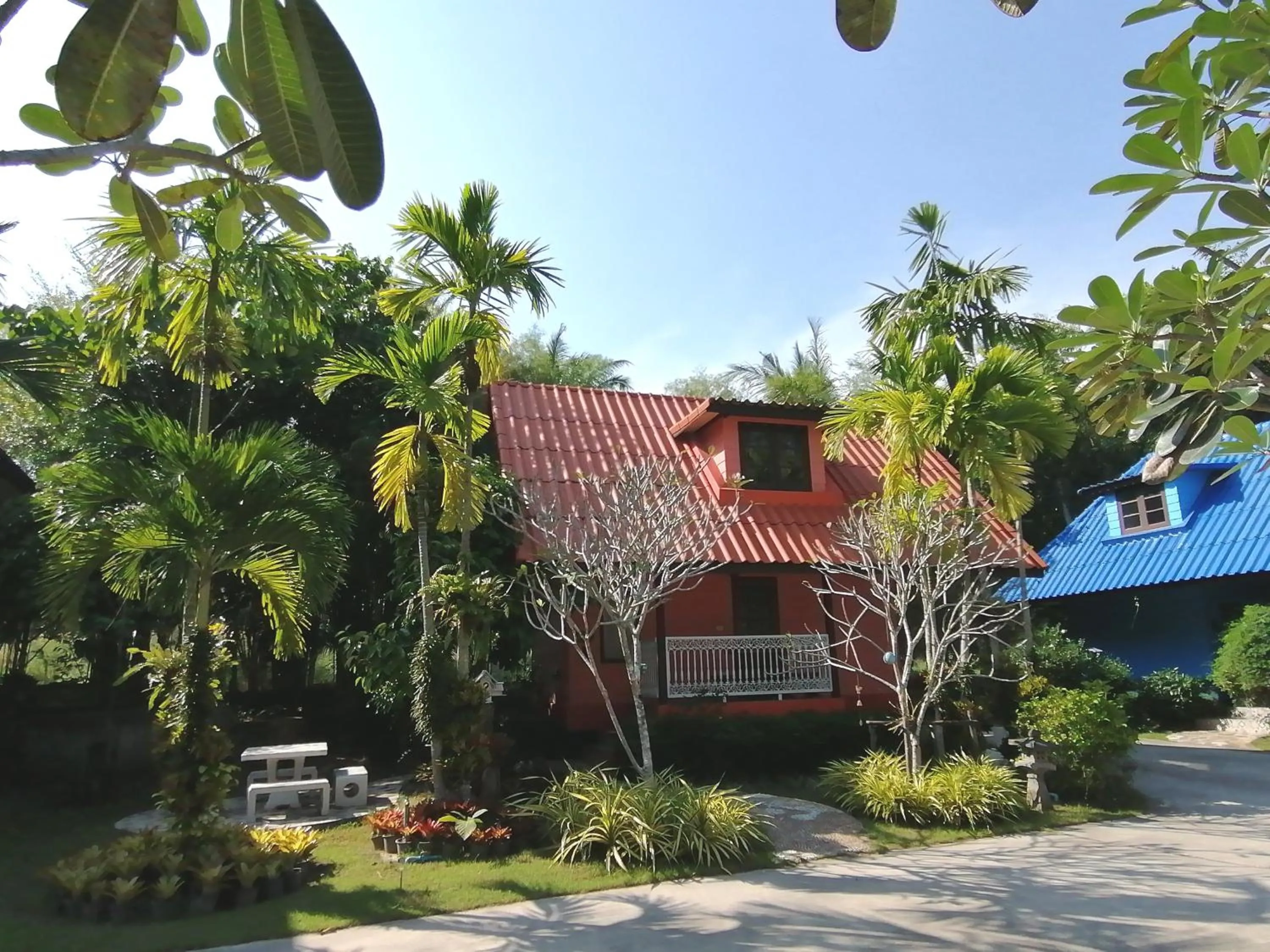 Garden in Ya Teng Homestay