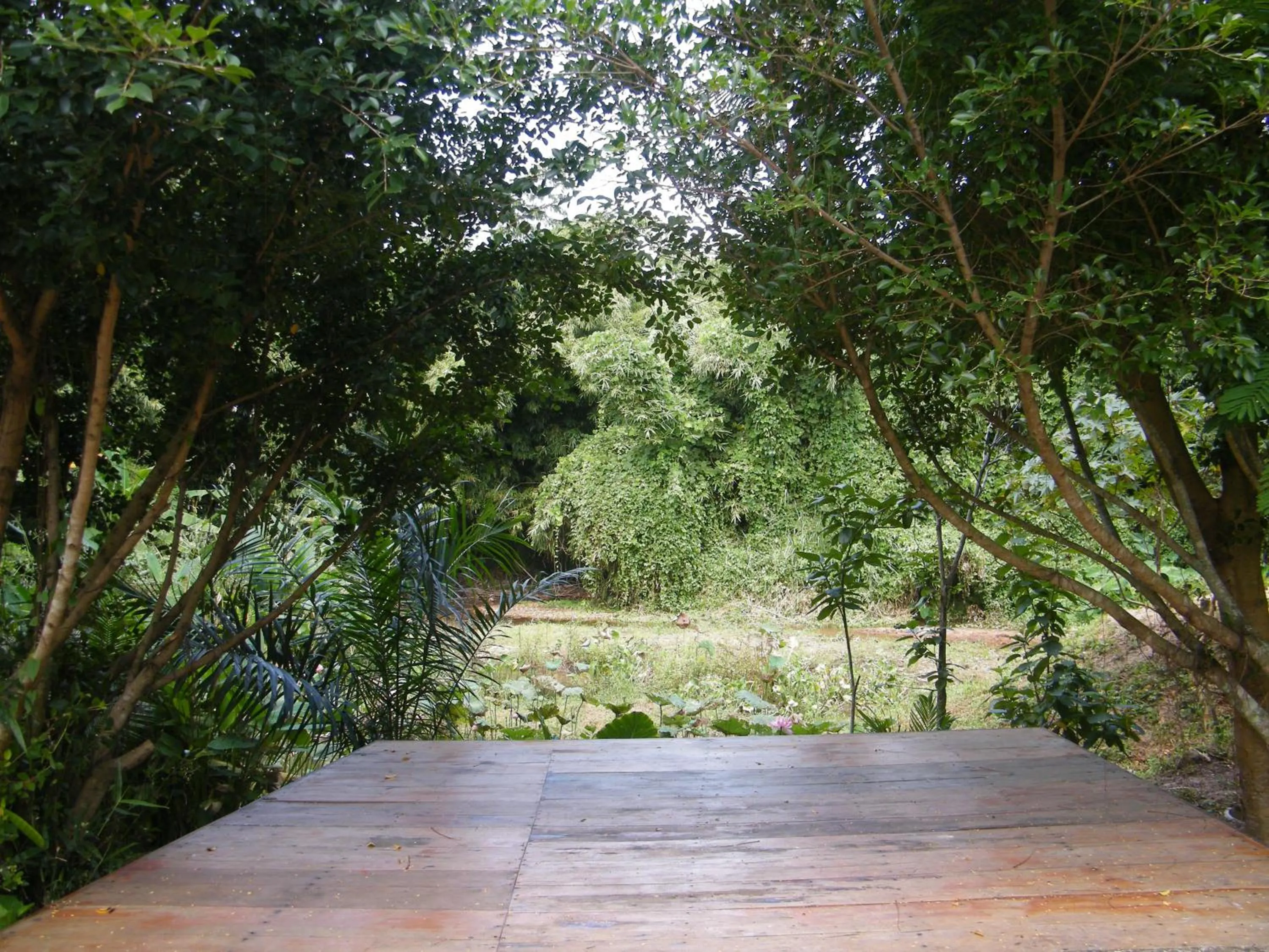 Natural landscape in Ya Teng Homestay