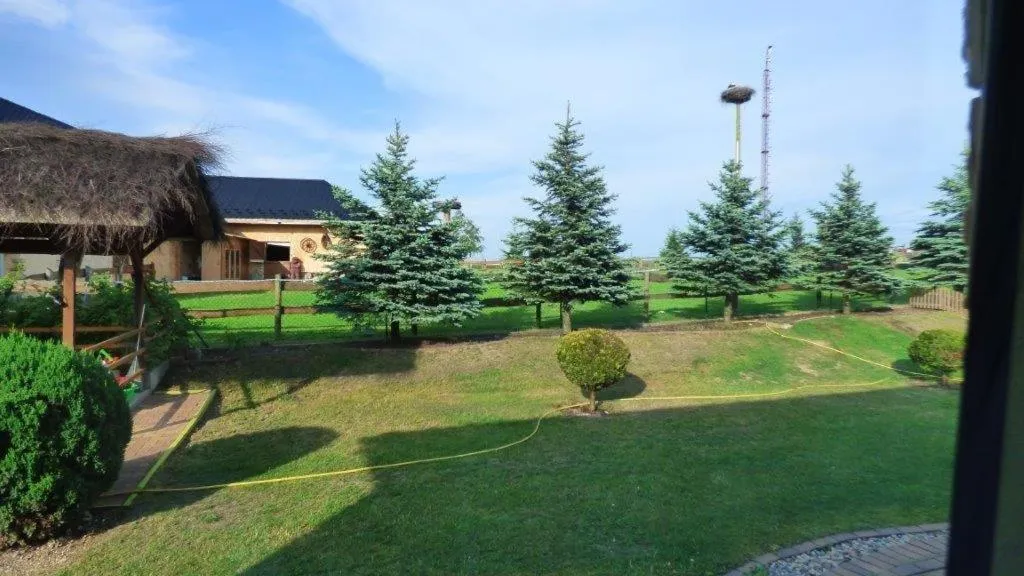 Activities in Agroturystyka Klekusiowo