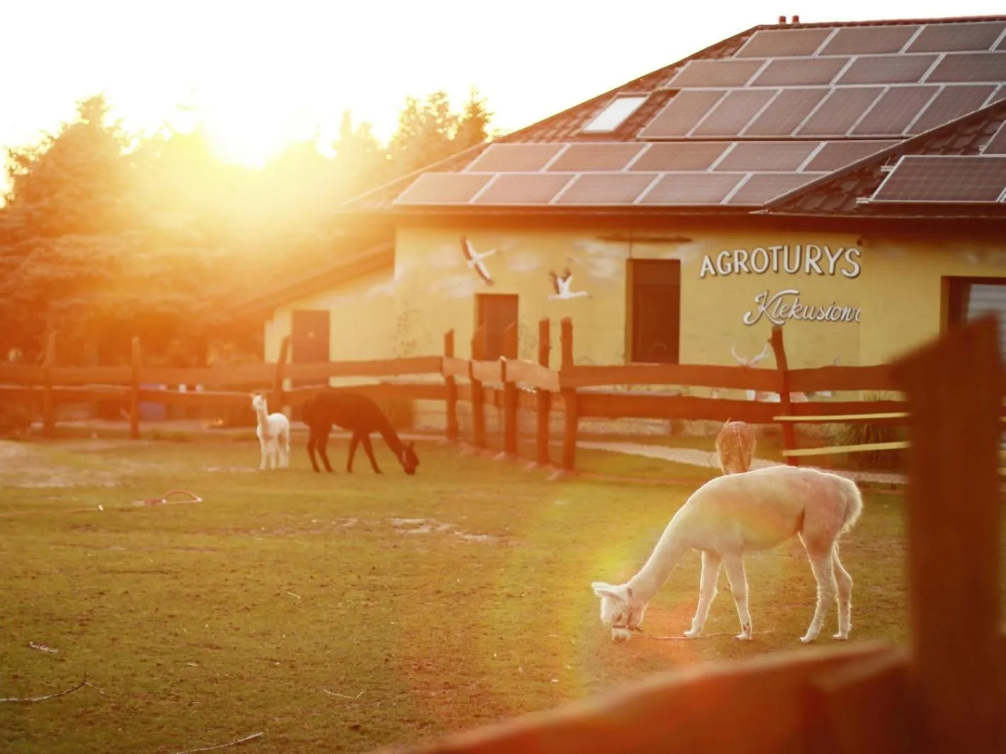 Agroturystyka Klekusiowo