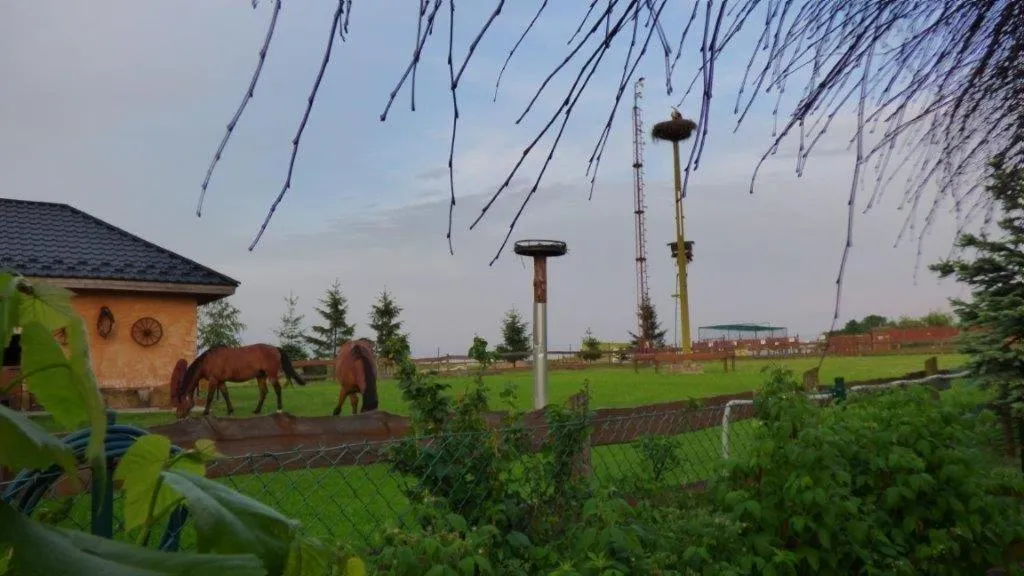 Animals in Agroturystyka Klekusiowo