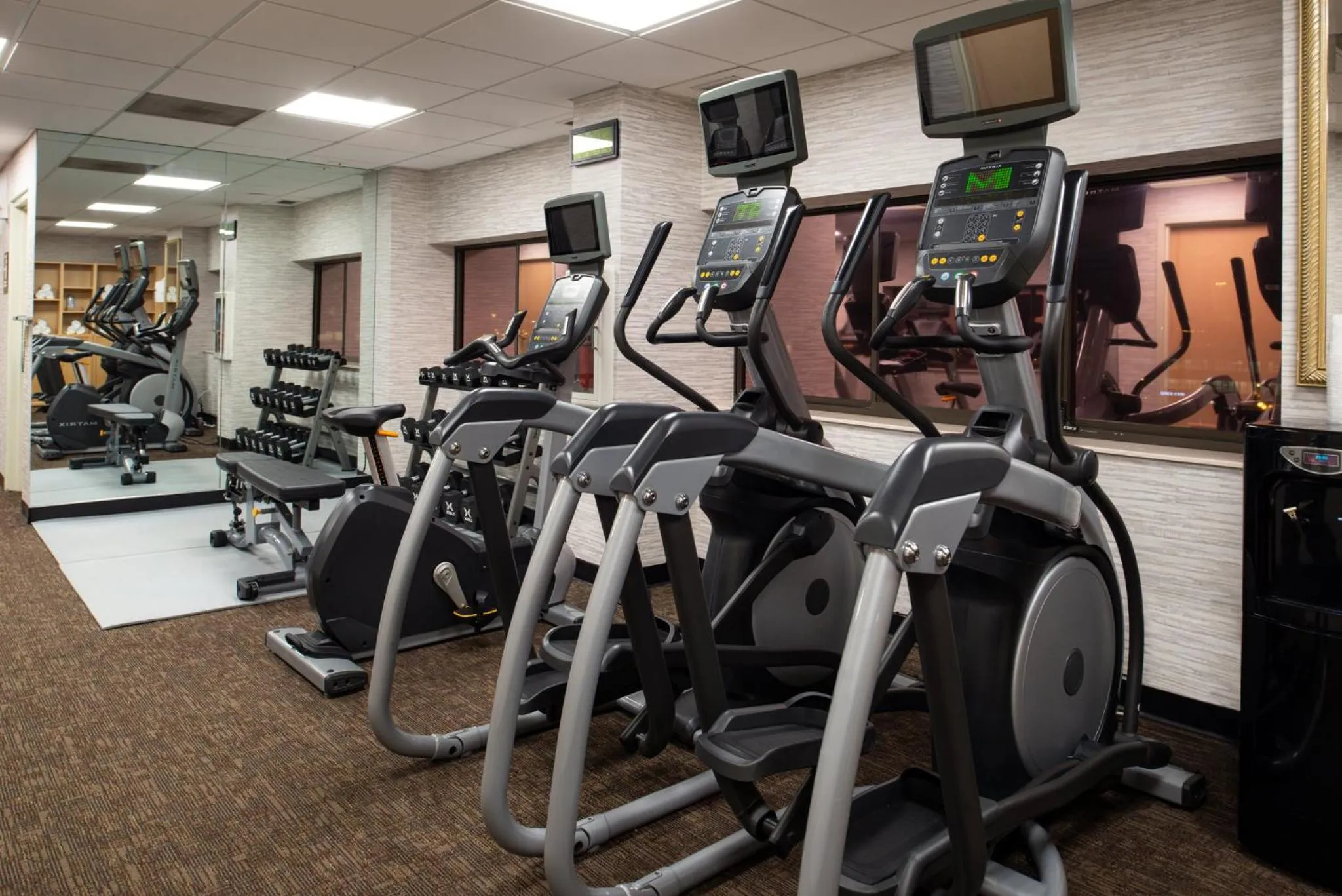 Spa and wellness centre/facilities in Holiday Inn Hotel & Suites Chicago - Downtown by IHG