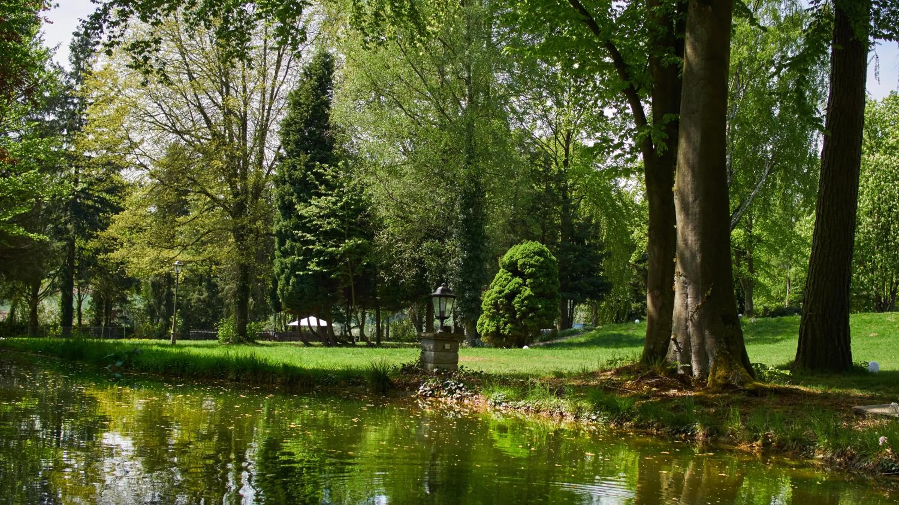 Garden in Villa Silva