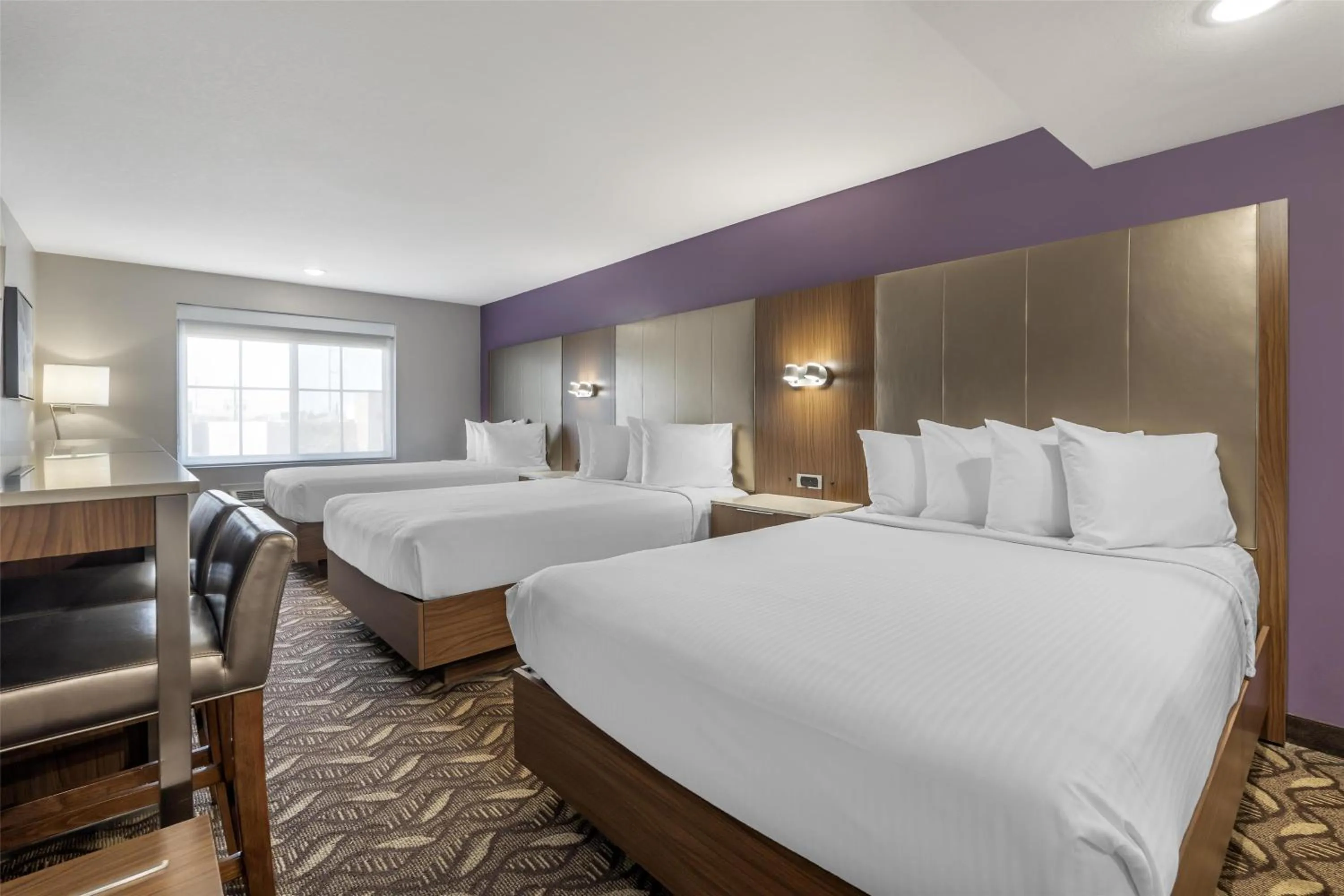 Bedroom, Bed in Best Western Airport Plaza Inn Hotel - Los Angeles LAX