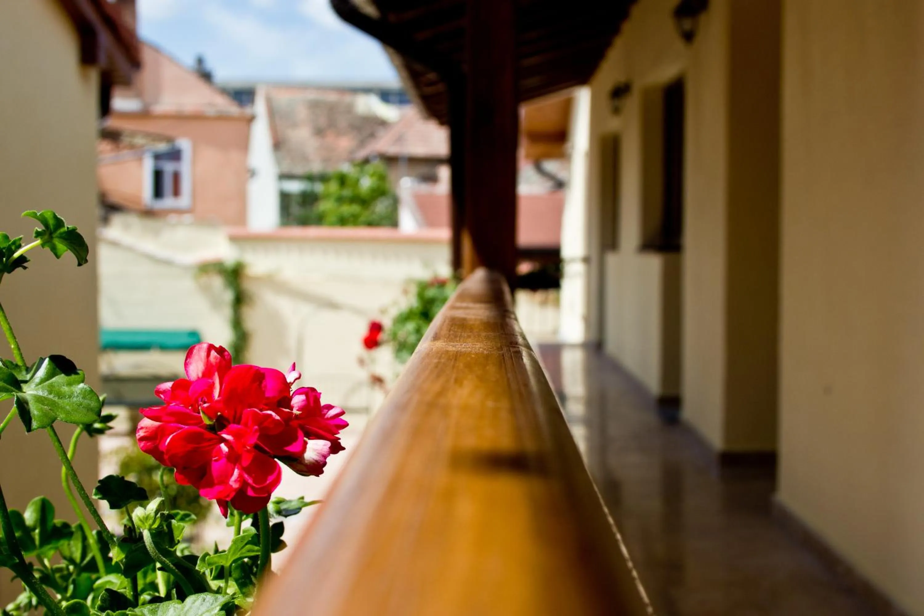 View (from property/room) in Rosen Villa Sibiu