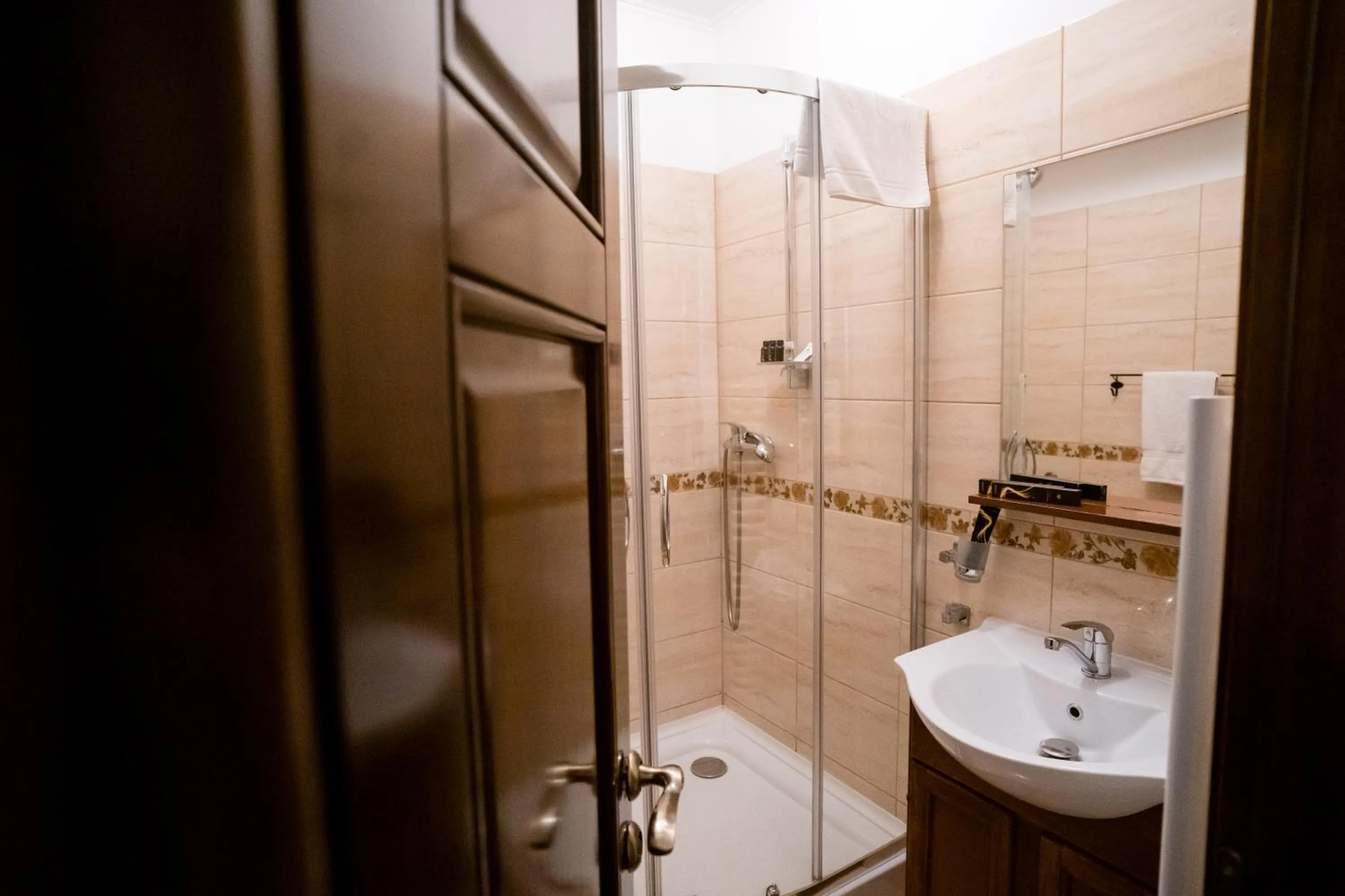 Shower in Rosen Villa Sibiu