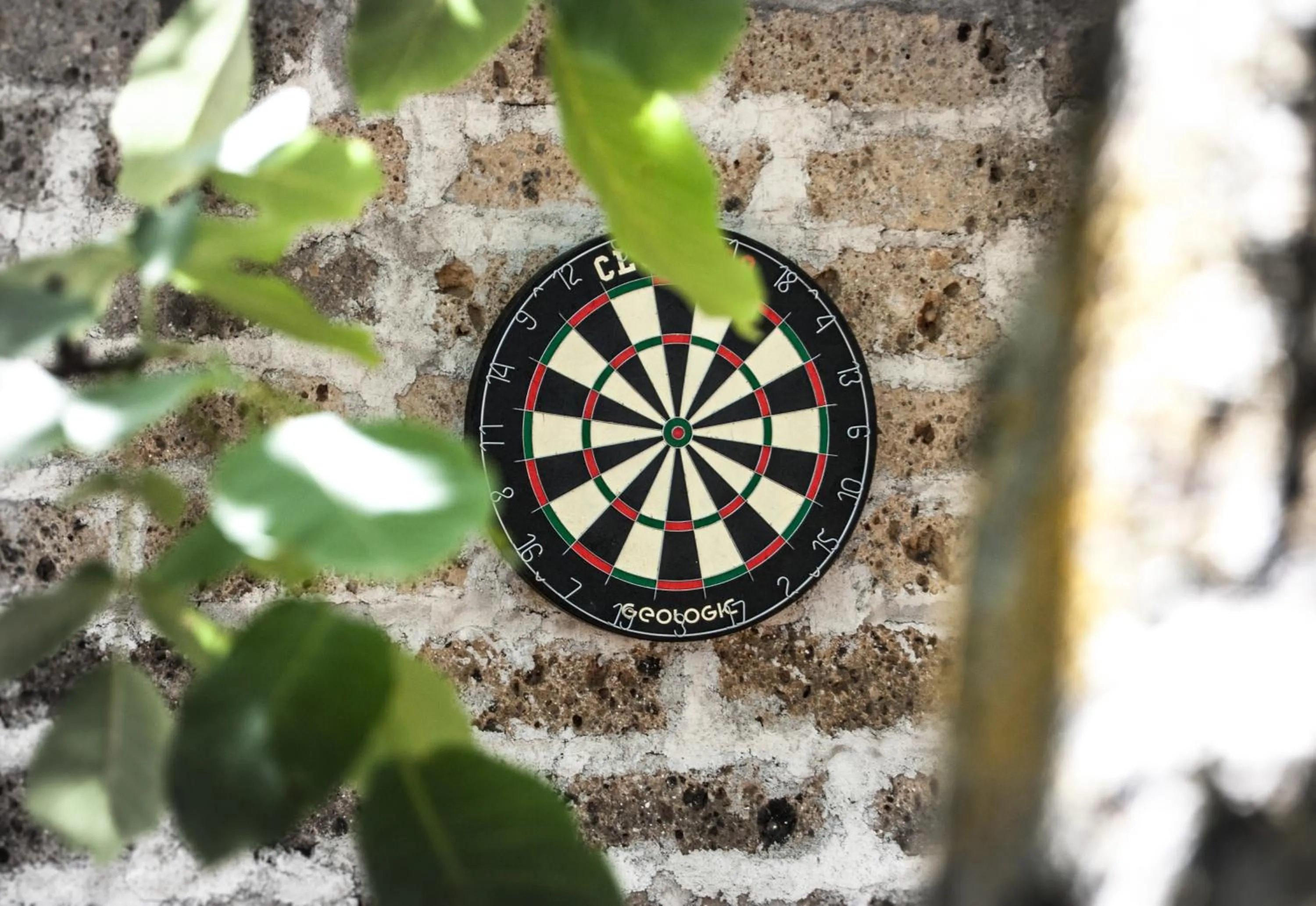 Darts in Amarcord