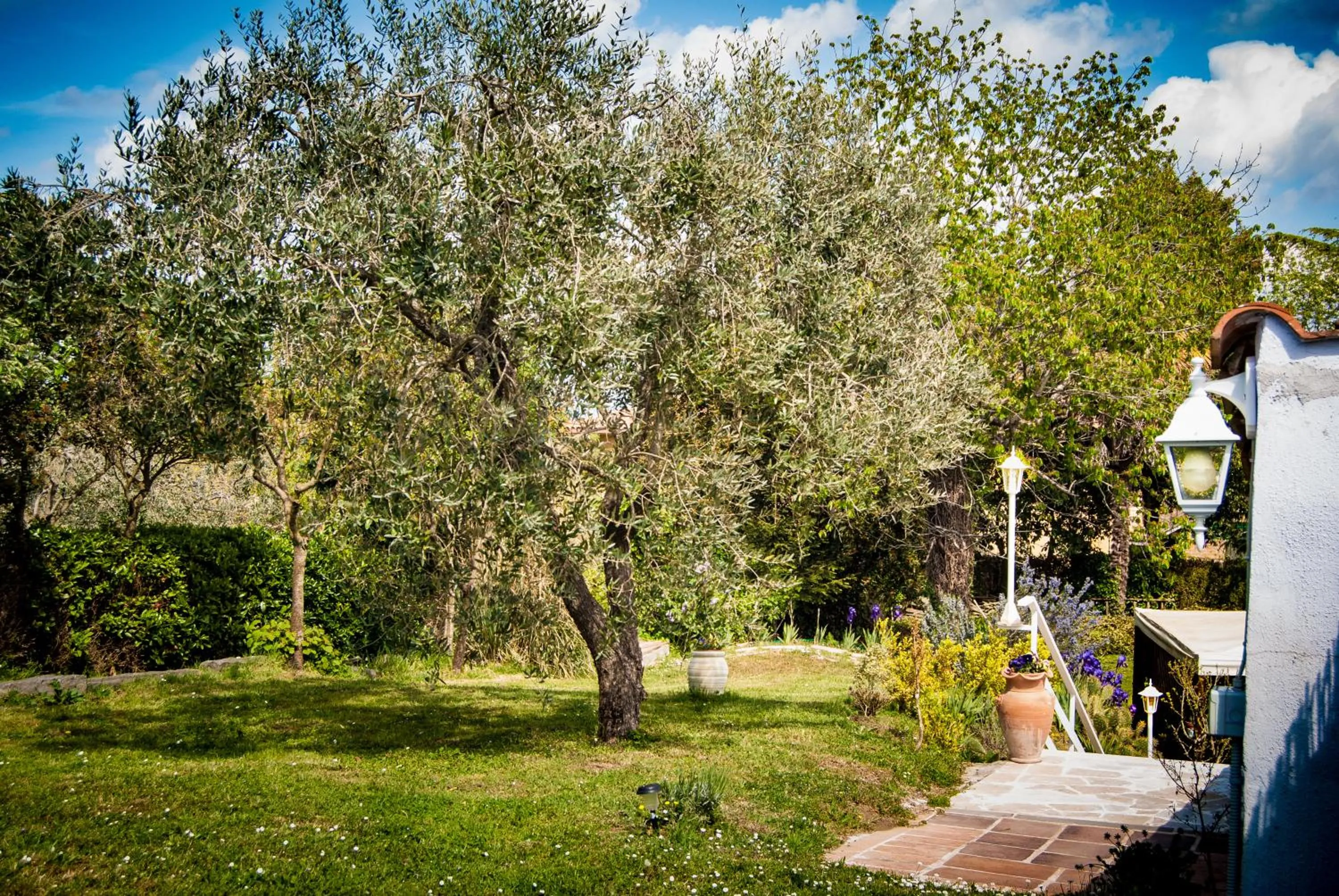 Garden in Amarcord