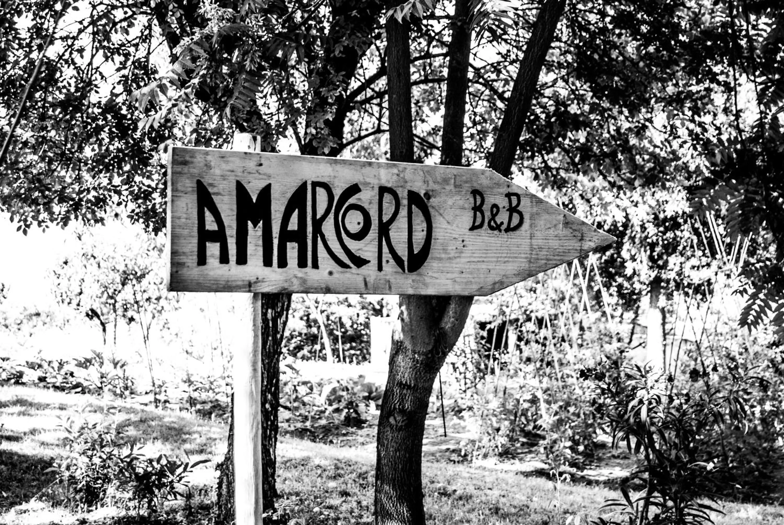 Property logo or sign in Amarcord