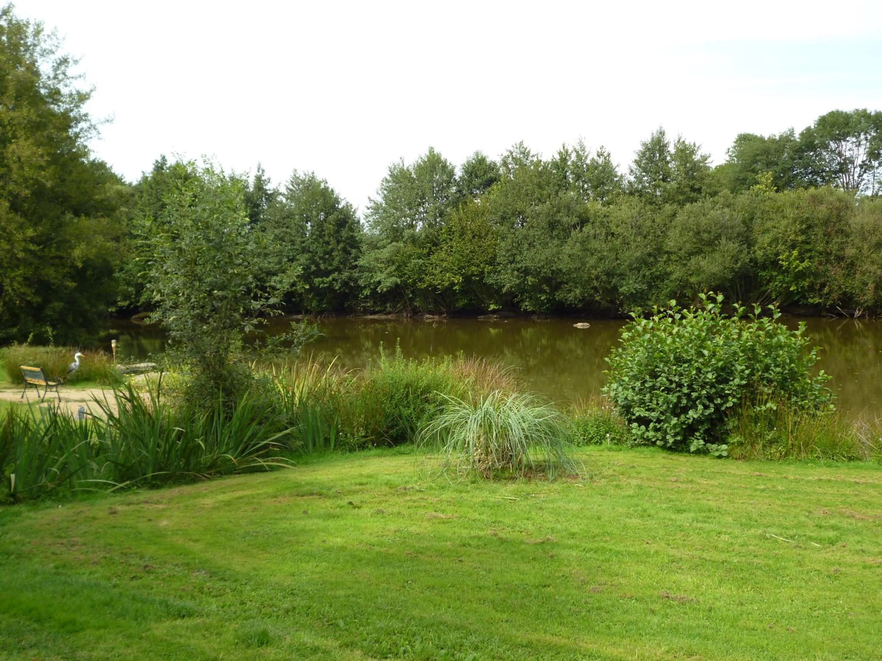 Natural landscape in La Revaudiere