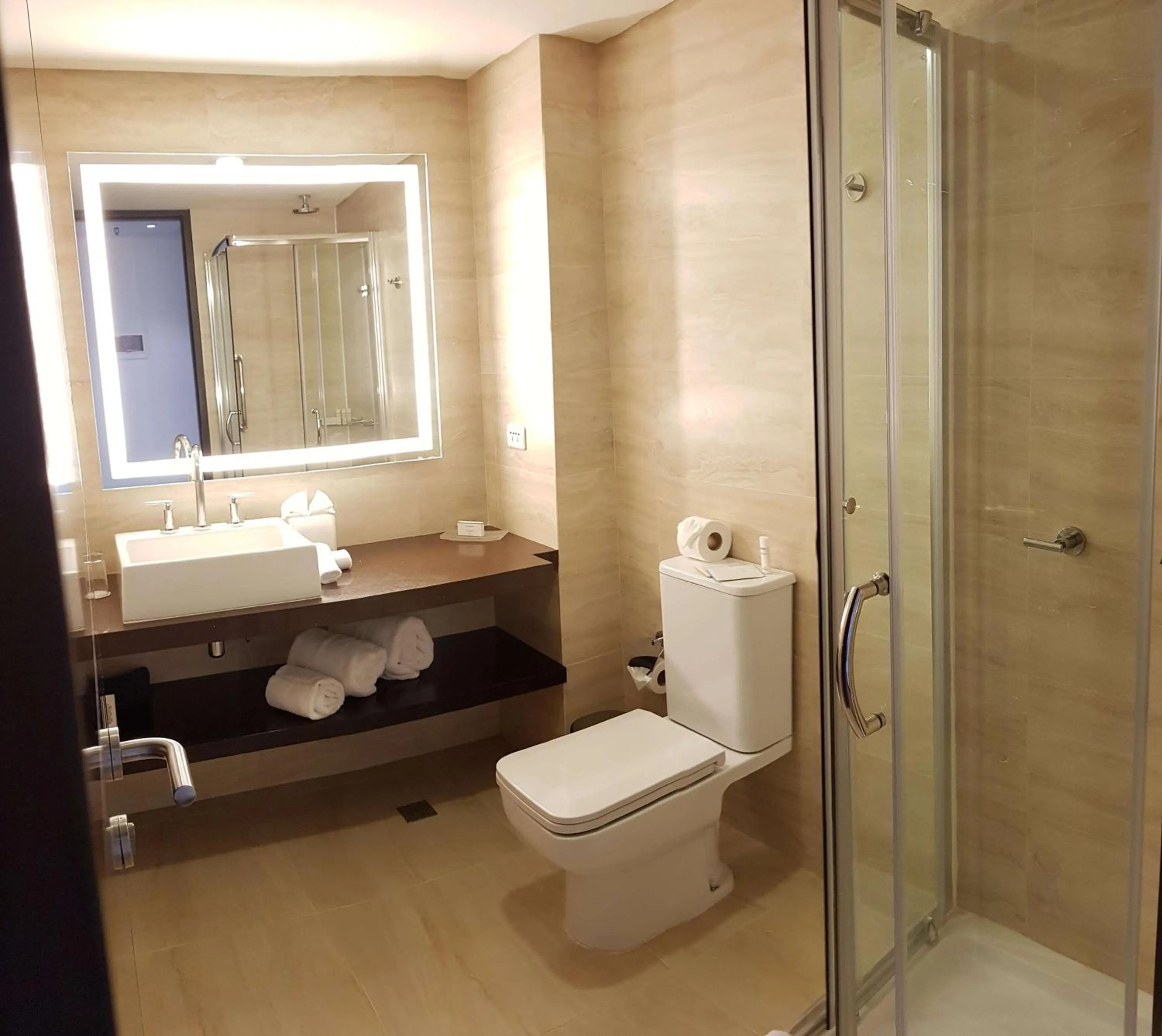 Bathroom in Hampton by Hilton Santa Cruz