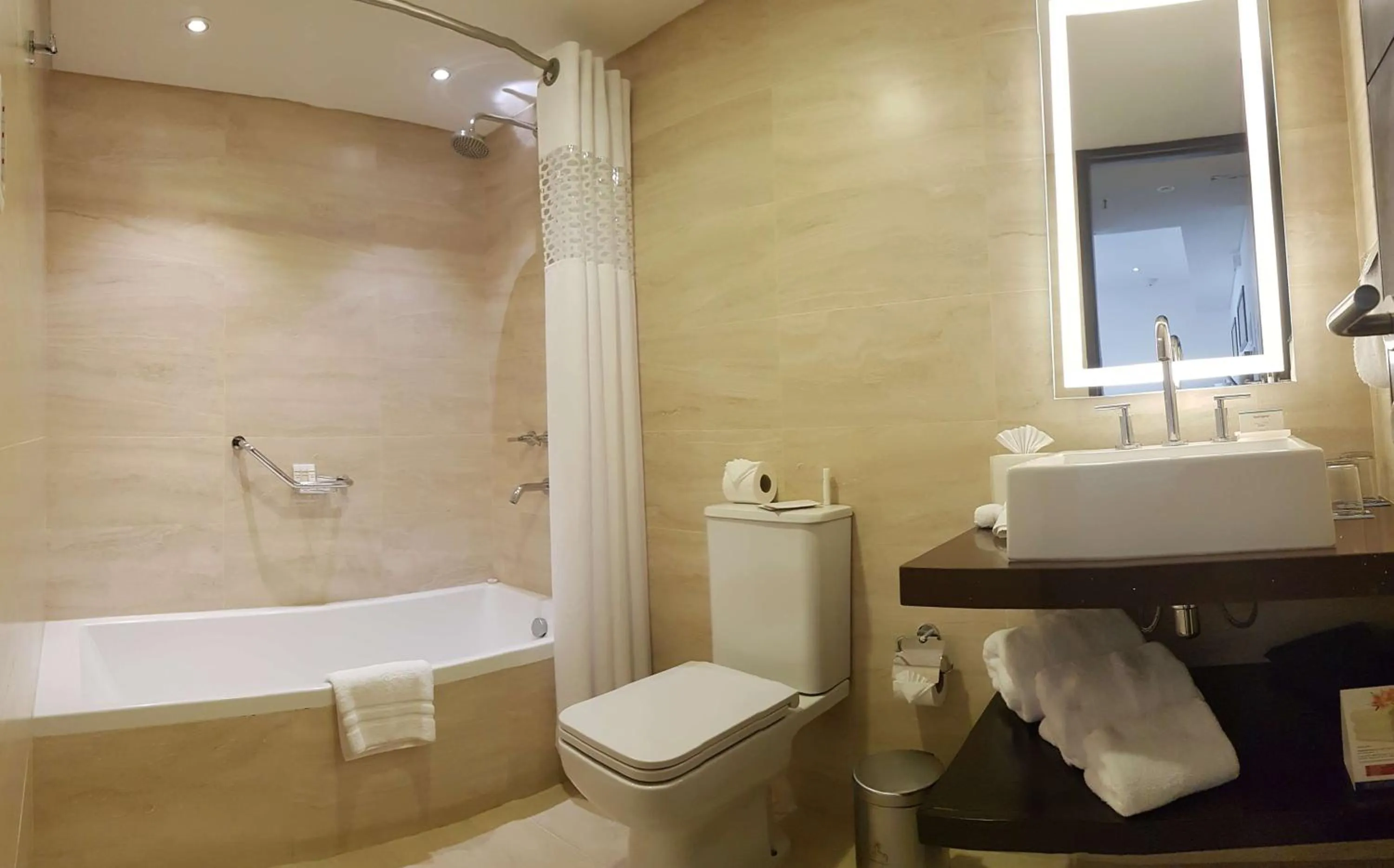 Bathroom in Hampton by Hilton Santa Cruz