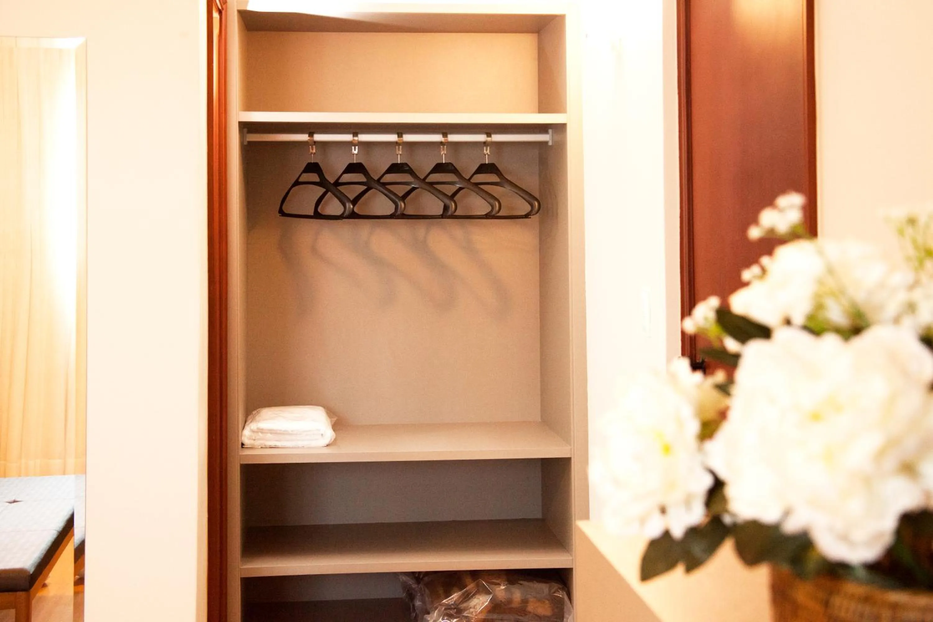 wardrobe in Biazi Plaza Hotel Bauru