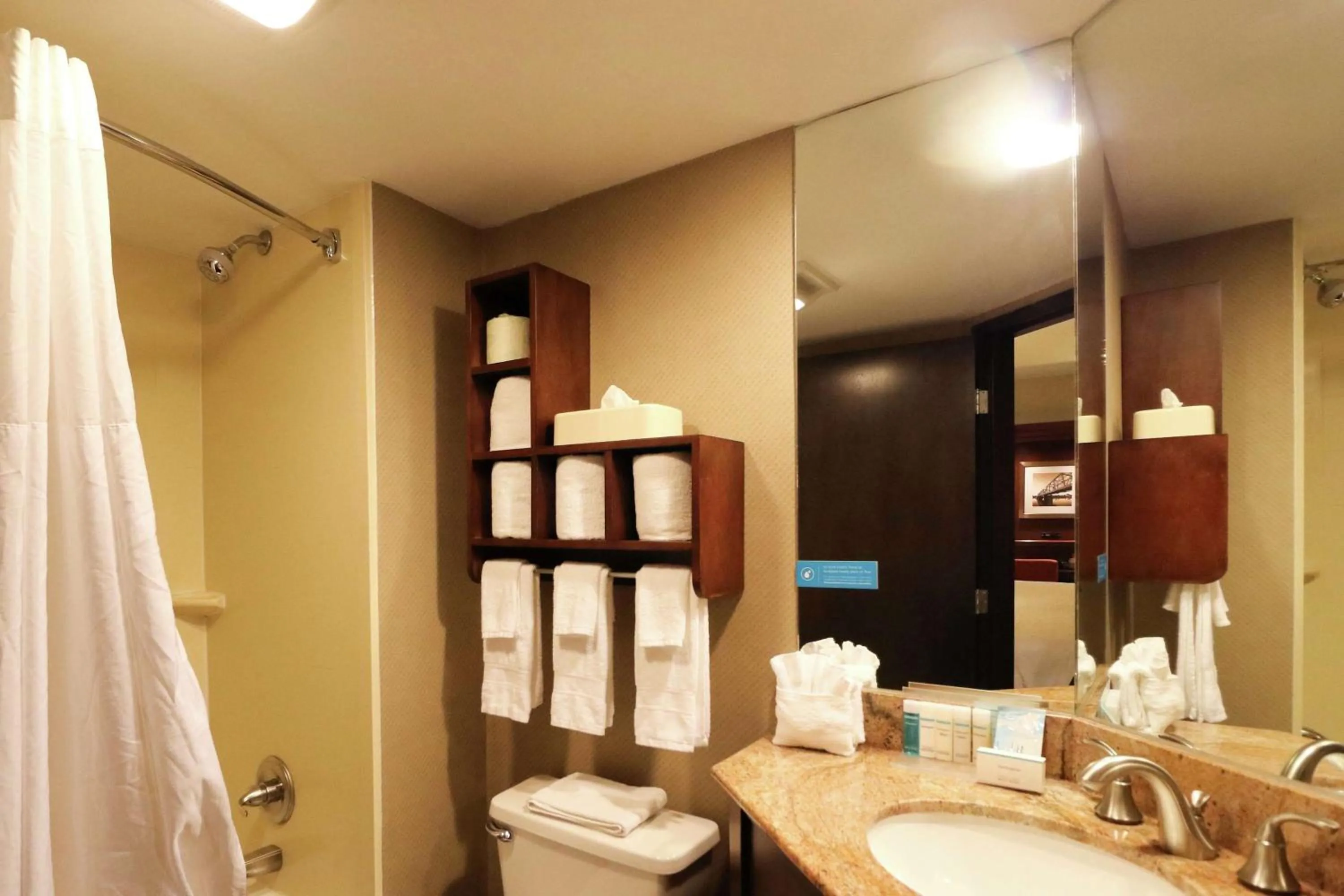 Bathroom in Hampton Inn Columbus-South