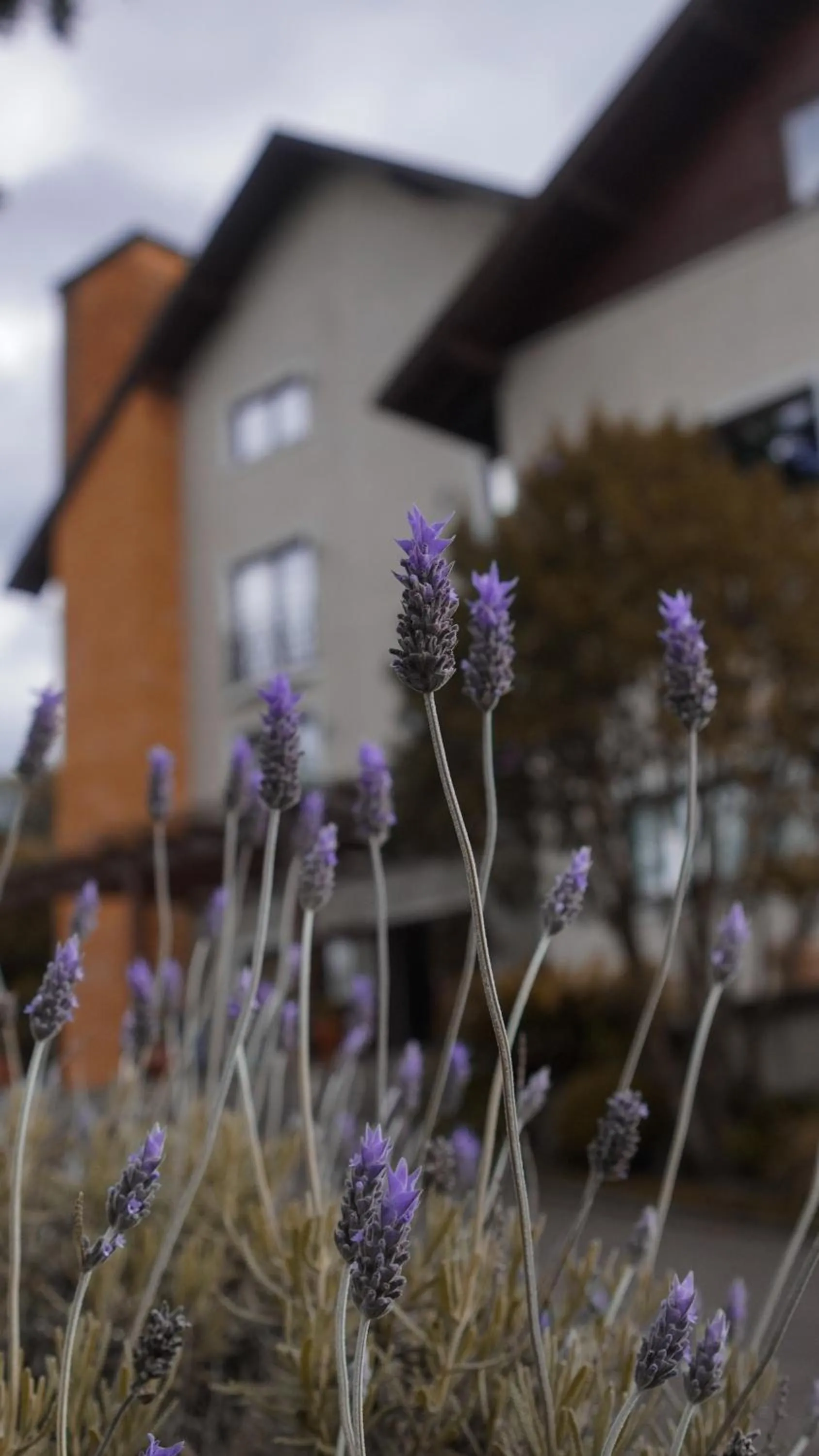 Hotel Gramado Interlaken