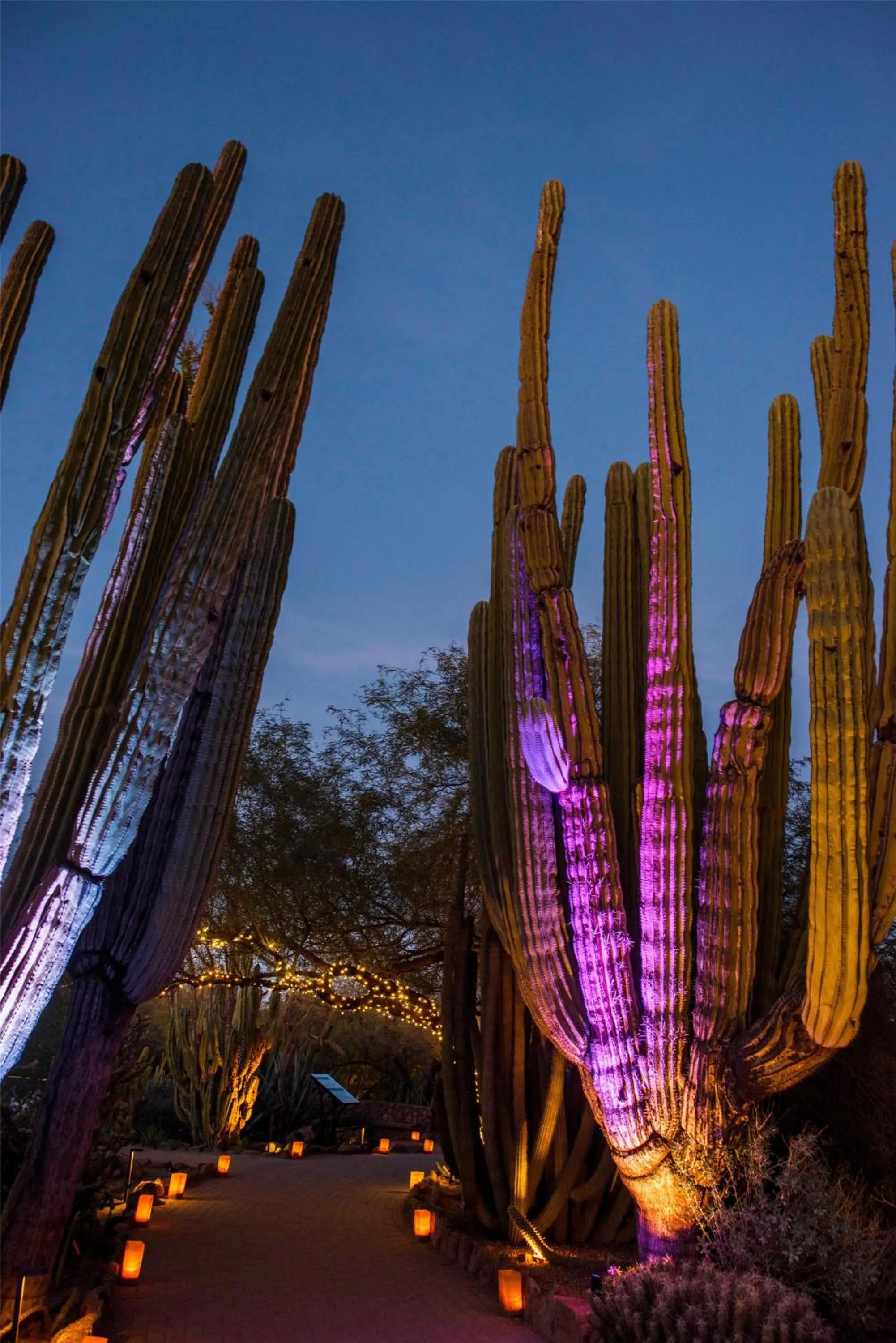 Property building in Boulders Resort & Spa Scottsdale, Curio Collection by Hilton