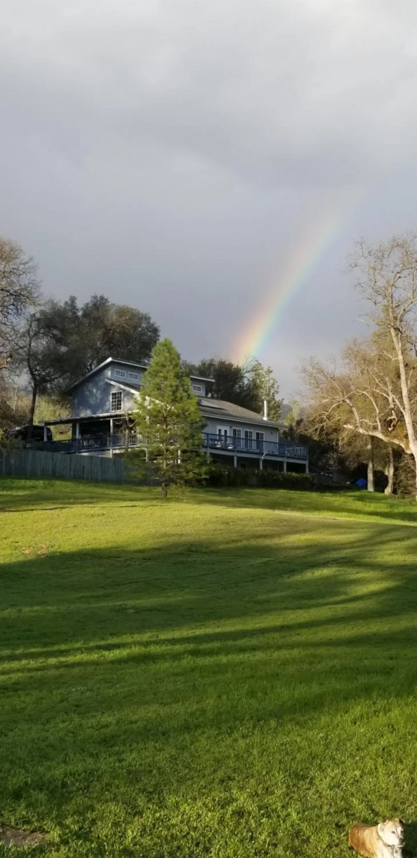 Charming Downstairs Unit