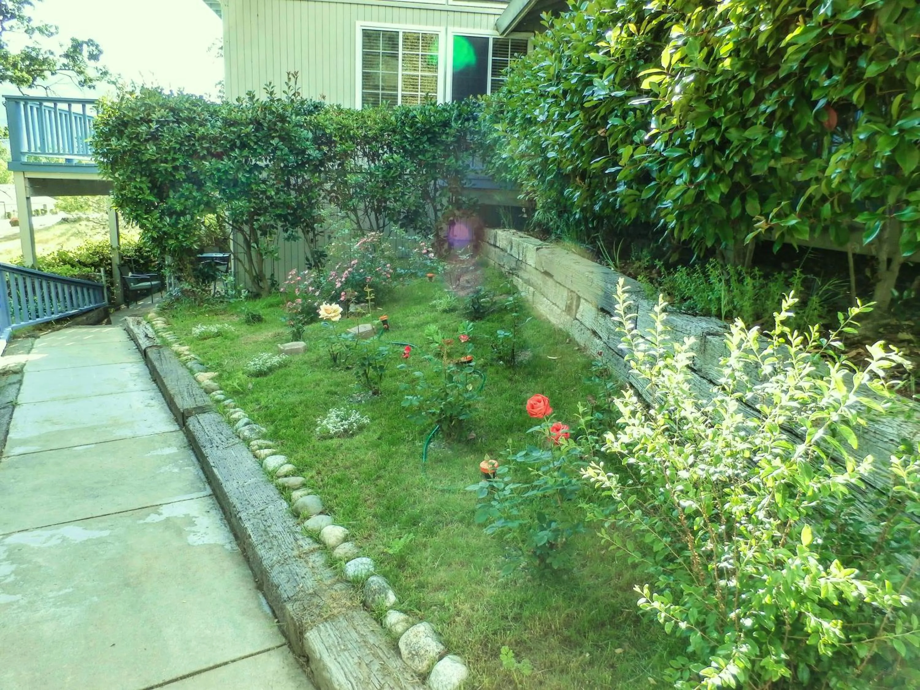 Garden in Charming Downstairs Unit