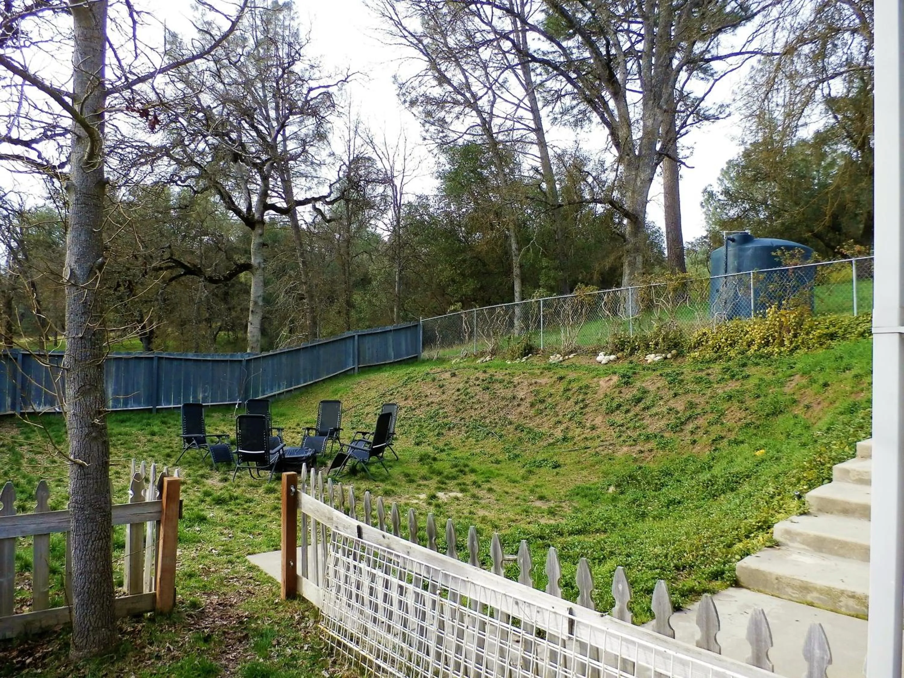 BBQ facilities in Charming Downstairs Unit