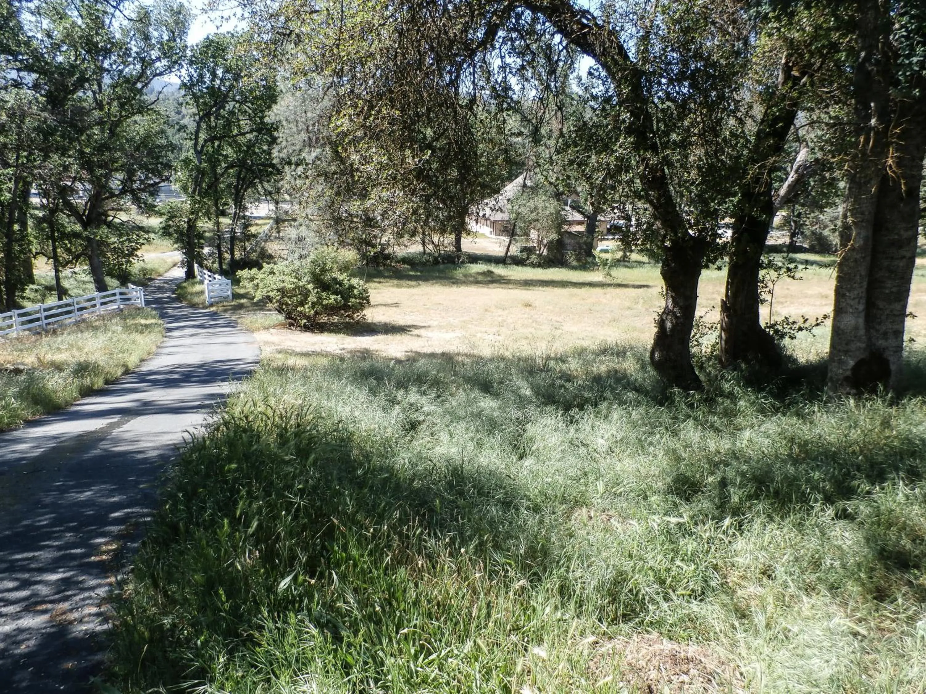 Street view in Charming Downstairs Unit