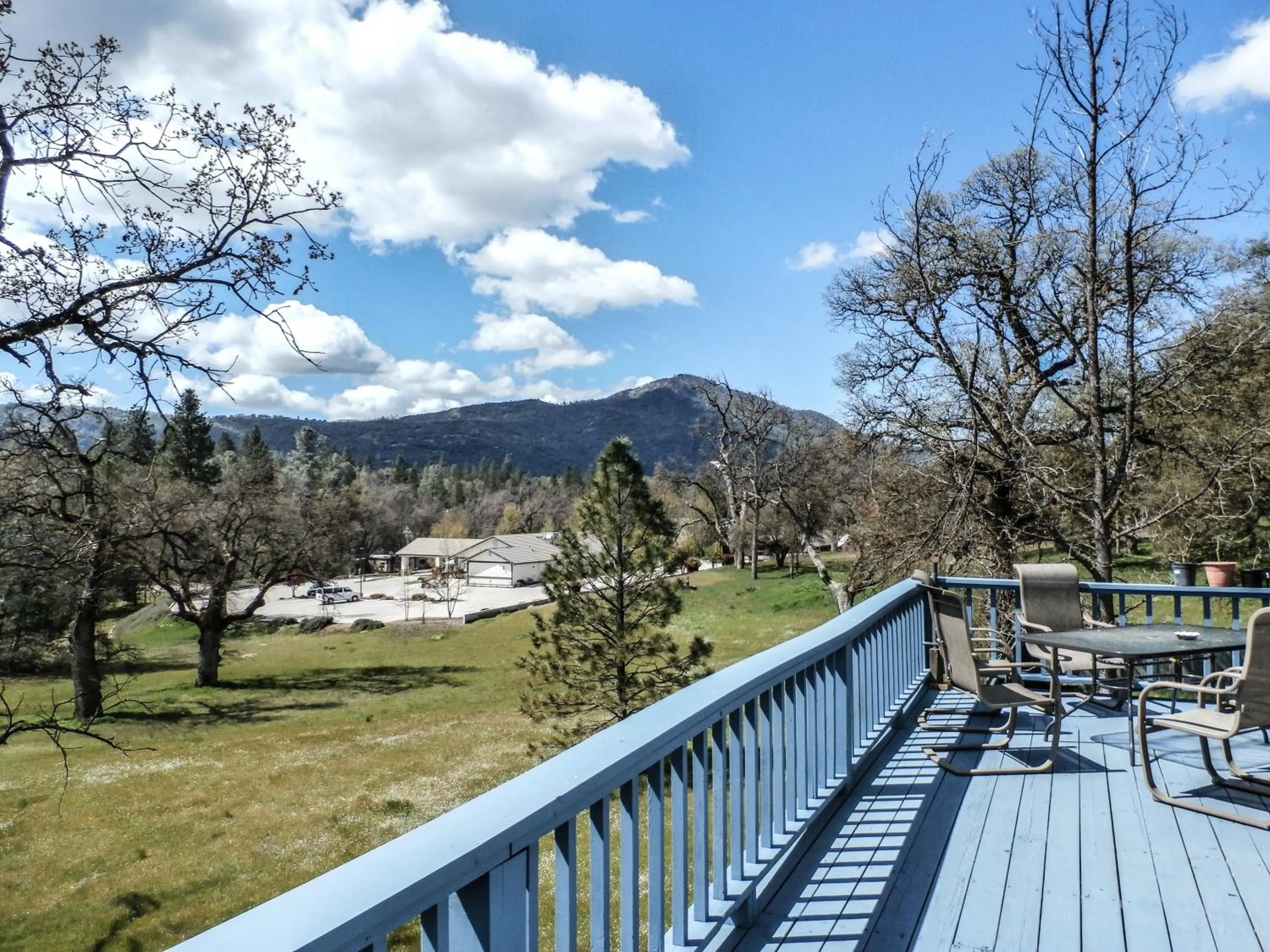 Landmark view in Charming Downstairs Unit