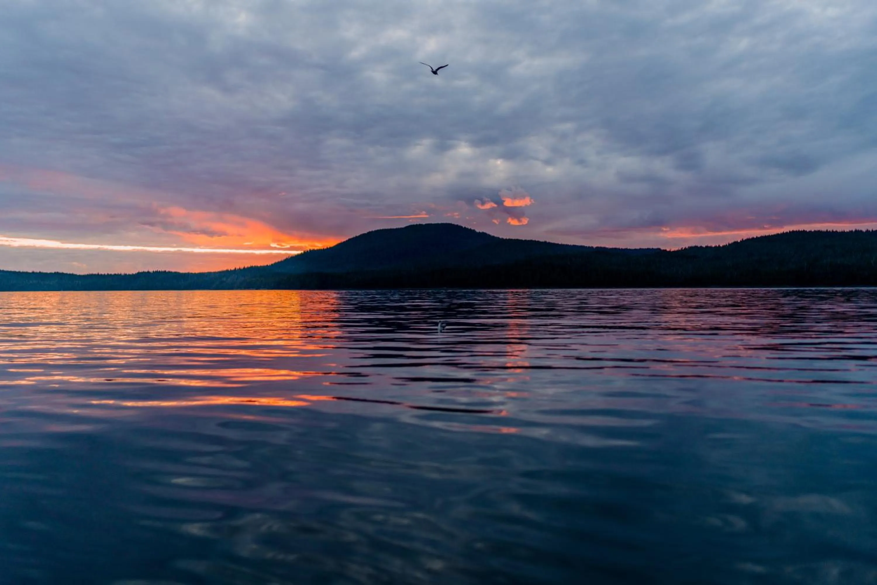 Natural landscape in Salmon Falls Resort