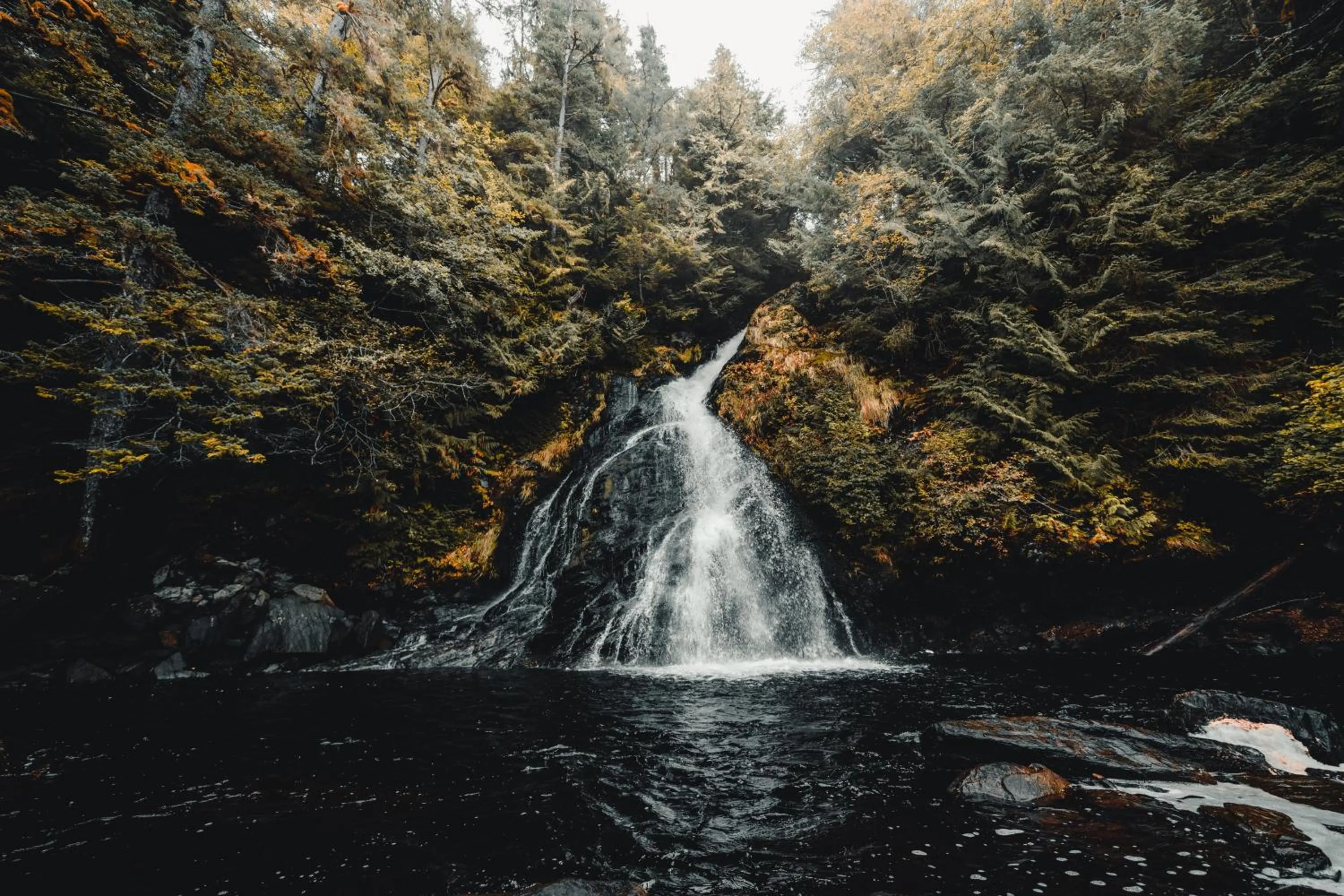 Natural landscape in Salmon Falls Resort